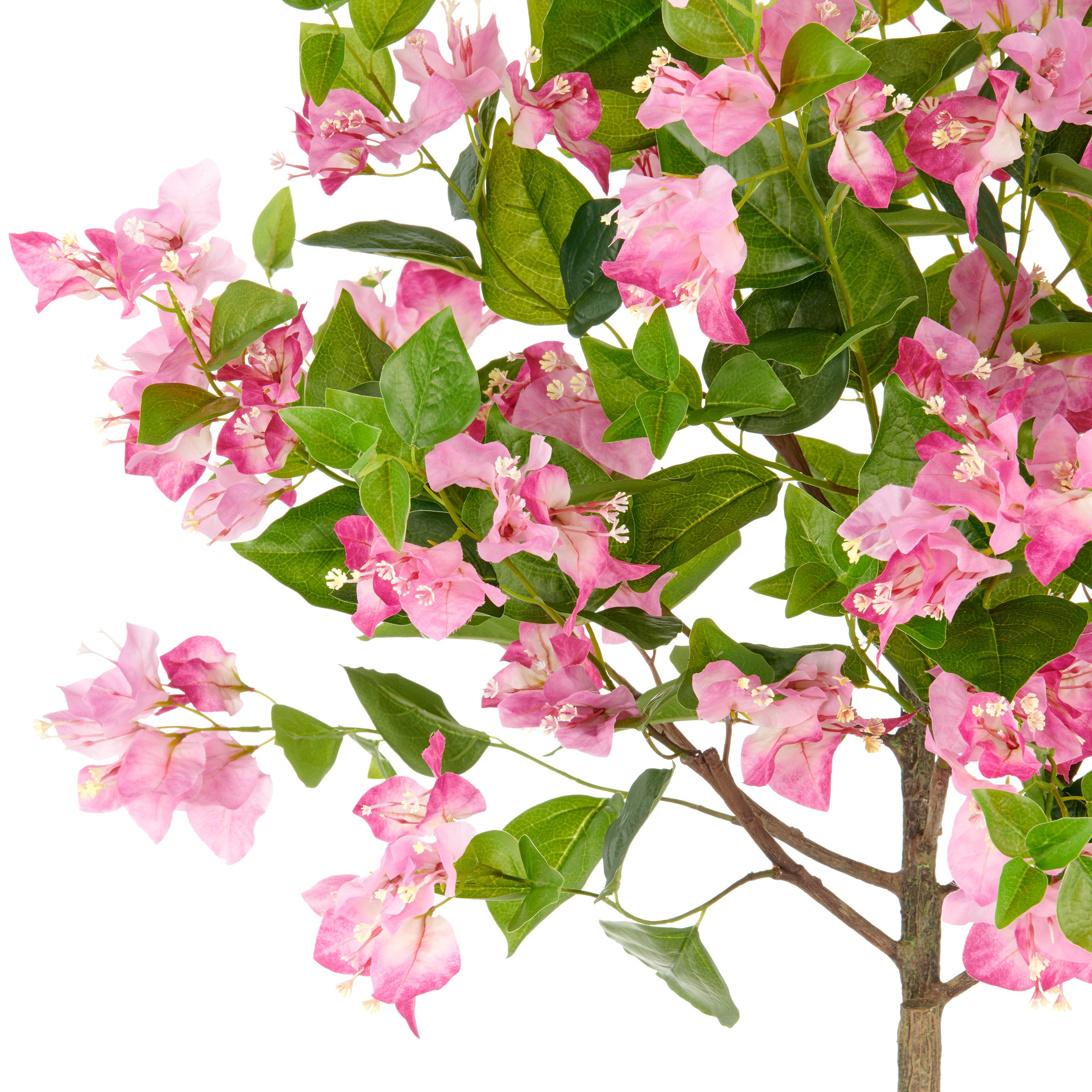 Creativ green Kunstbaum »Bougainvillea«, mit zahlreichen Blüten günstig online kaufen