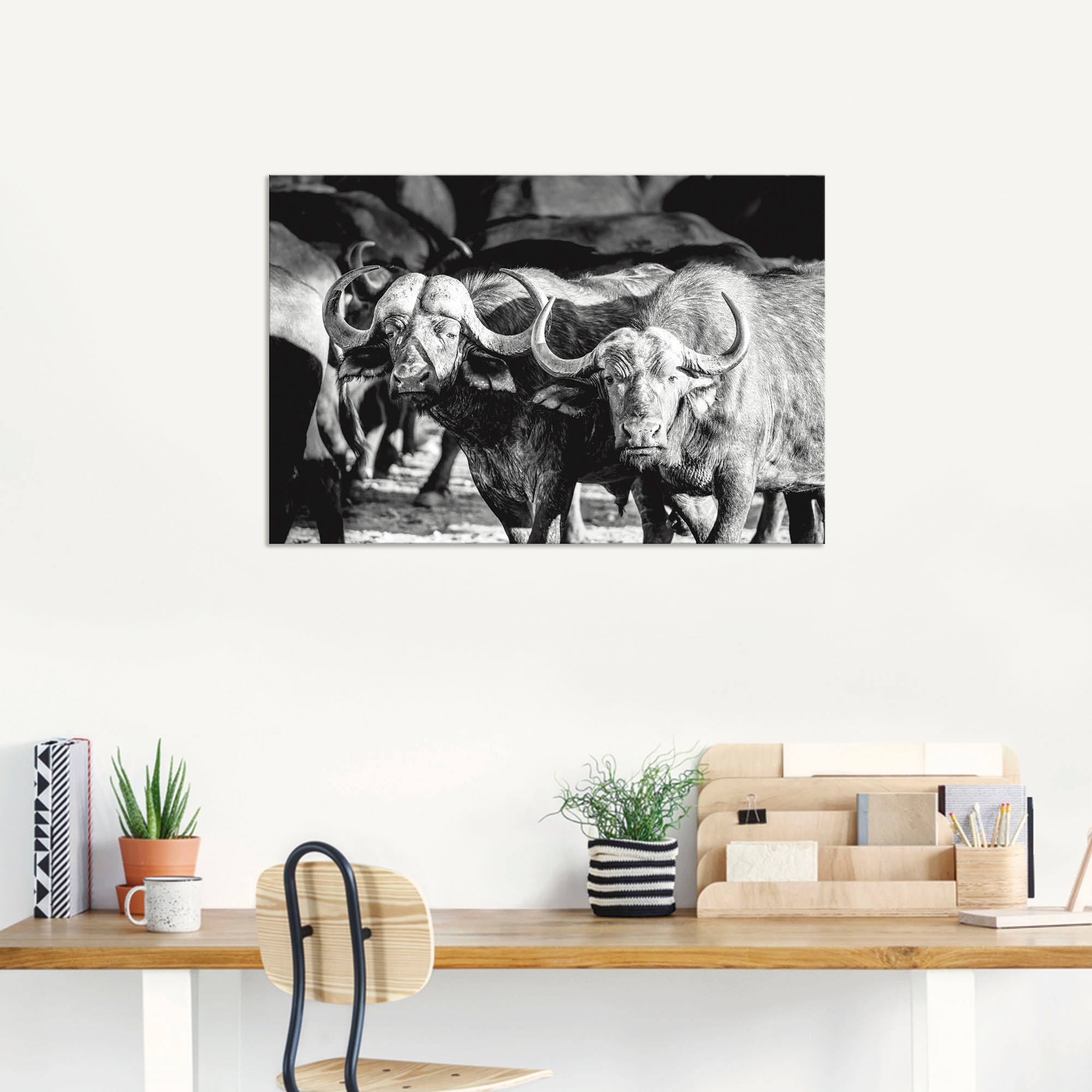 Artland Wandbild »Büffel«, Wildtiere, (1 St.), als Alubild, Leinwandbild, Wandaufkleber oder Poster in versch. Größen
