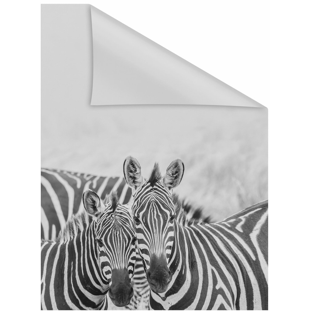 LICHTBLICK ORIGINAL Fensterfolie »Zebra«, 1 St., blickdicht, strukturiertKlebepunkte