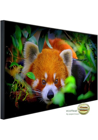Papermoon Infrarotheizung »Rotes Panda Porträt«, sehr angenehme Strahlungswärme kaufen
