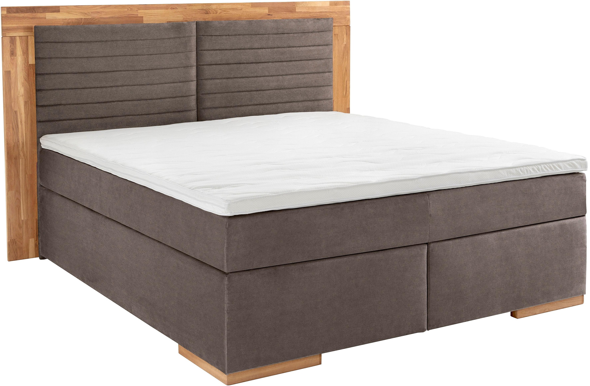 PLACES OF STYLE Boxspringbett "Cup" mit LED-Beleuchtung, Massivholzrahmen u günstig online kaufen