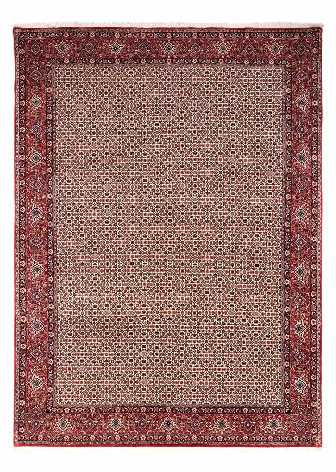 morgenland Wollteppich »Bidjar Takab Stark Gemustert Beige 343 x 253 cm«, r günstig online kaufen