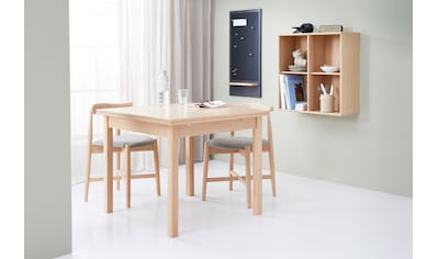 Hammel Furniture Essgruppe »Findahl/Basic by Hammel Dinex/Dora«, (Set, 3 tlg.)