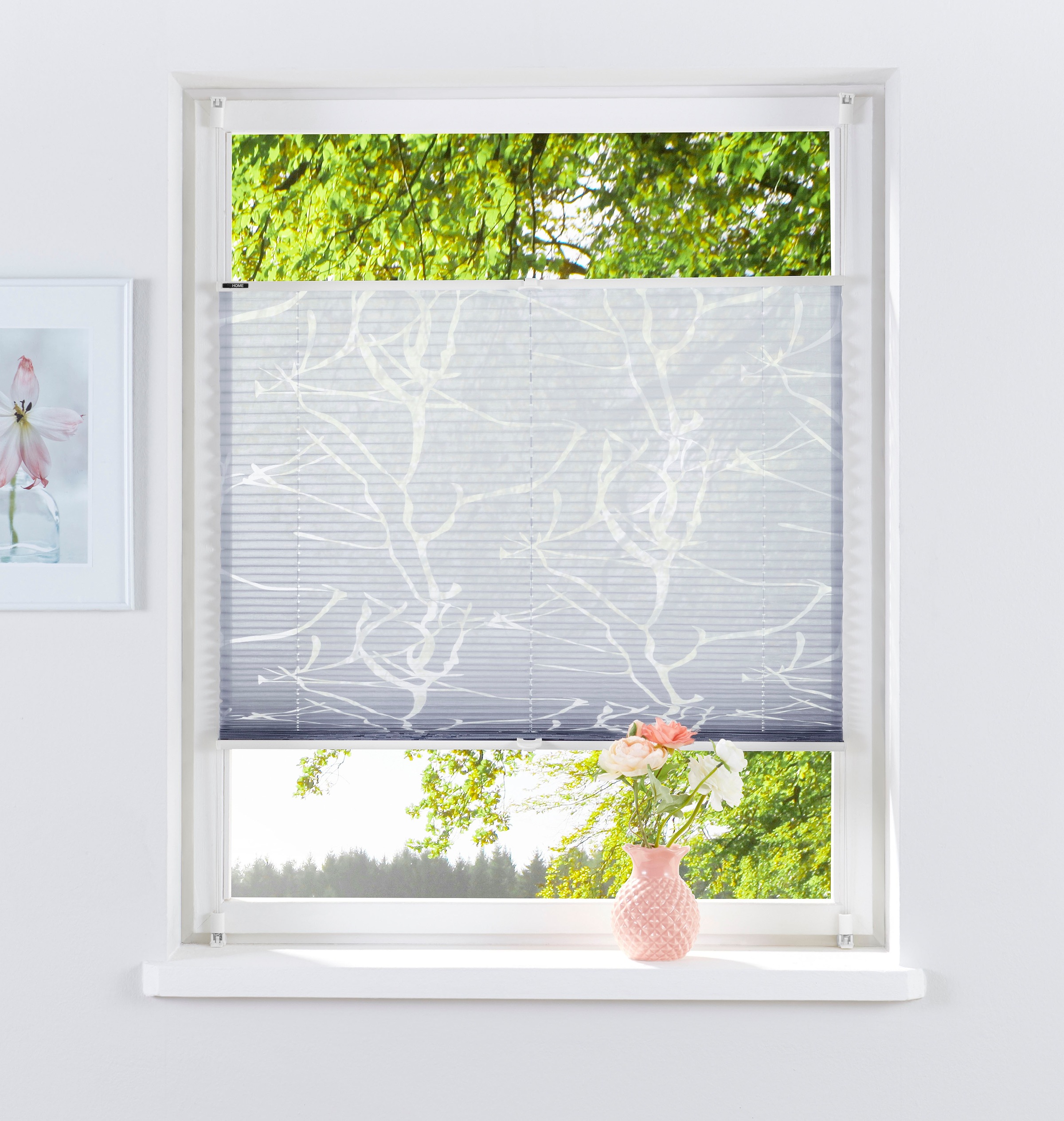 my home Plissee »Anna« Lichtschutz ohne Bohren verspannt Ästemotiv, Bestsel günstig online kaufen