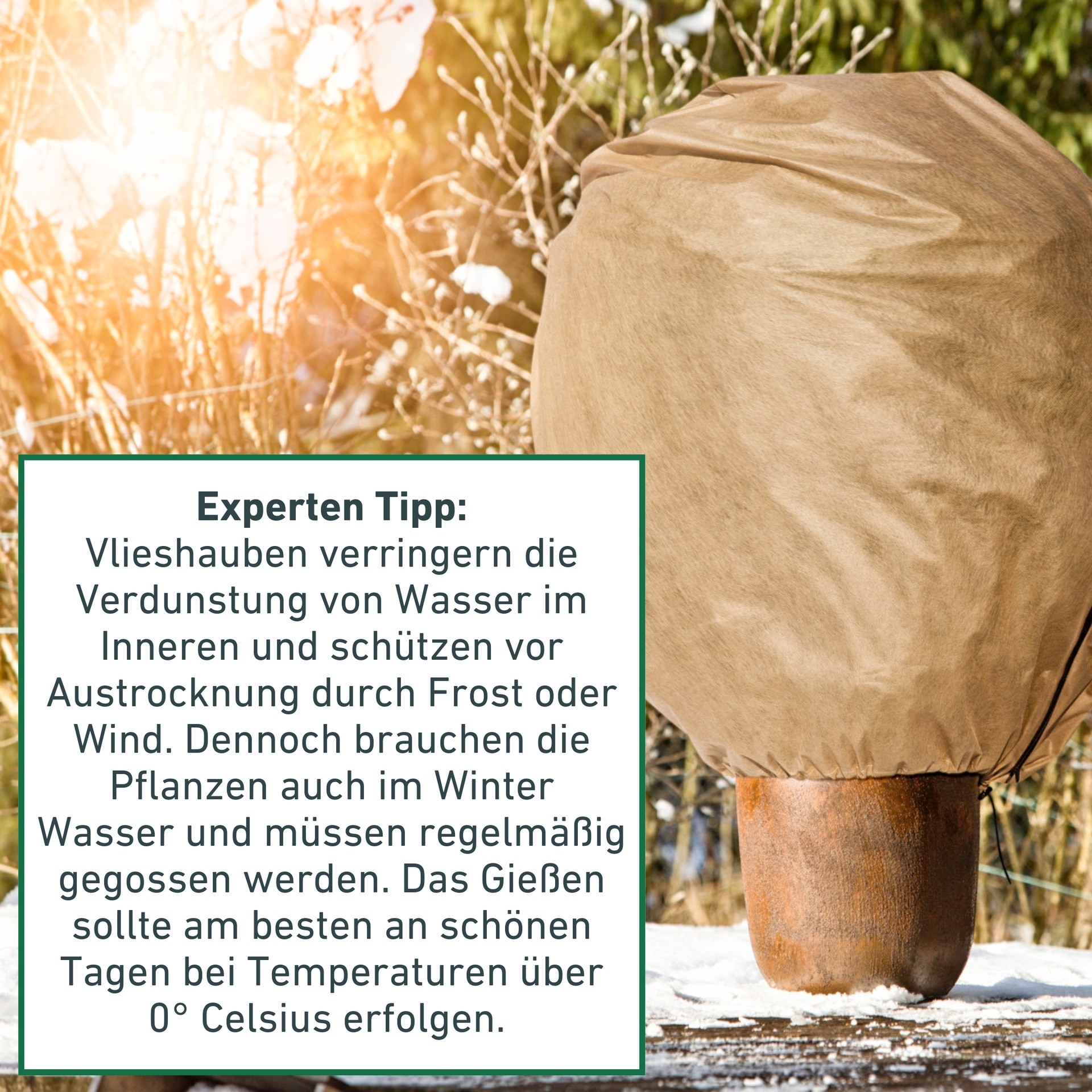 Windhager Gartenvlies »Jute-Trennvlies für Töpfe, Unkrautvlies aus Jute, Pflanzenvlies« wasserdurchlässig und atmungsaktiv, 1x1 m
