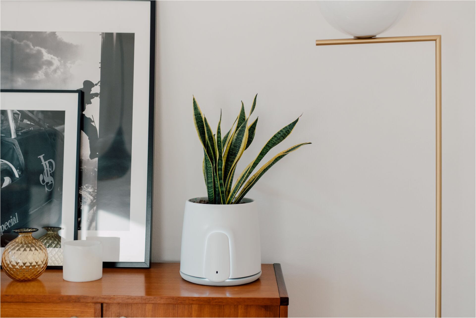 Vitesy Luftreiniger »Natede Smart – Smarte Luftreinigung und stilvoller Blumentopf«, für 20 m² Räume, Waschbarer Filter, App-Steuerung, Selbstbewässerung Blumentopf