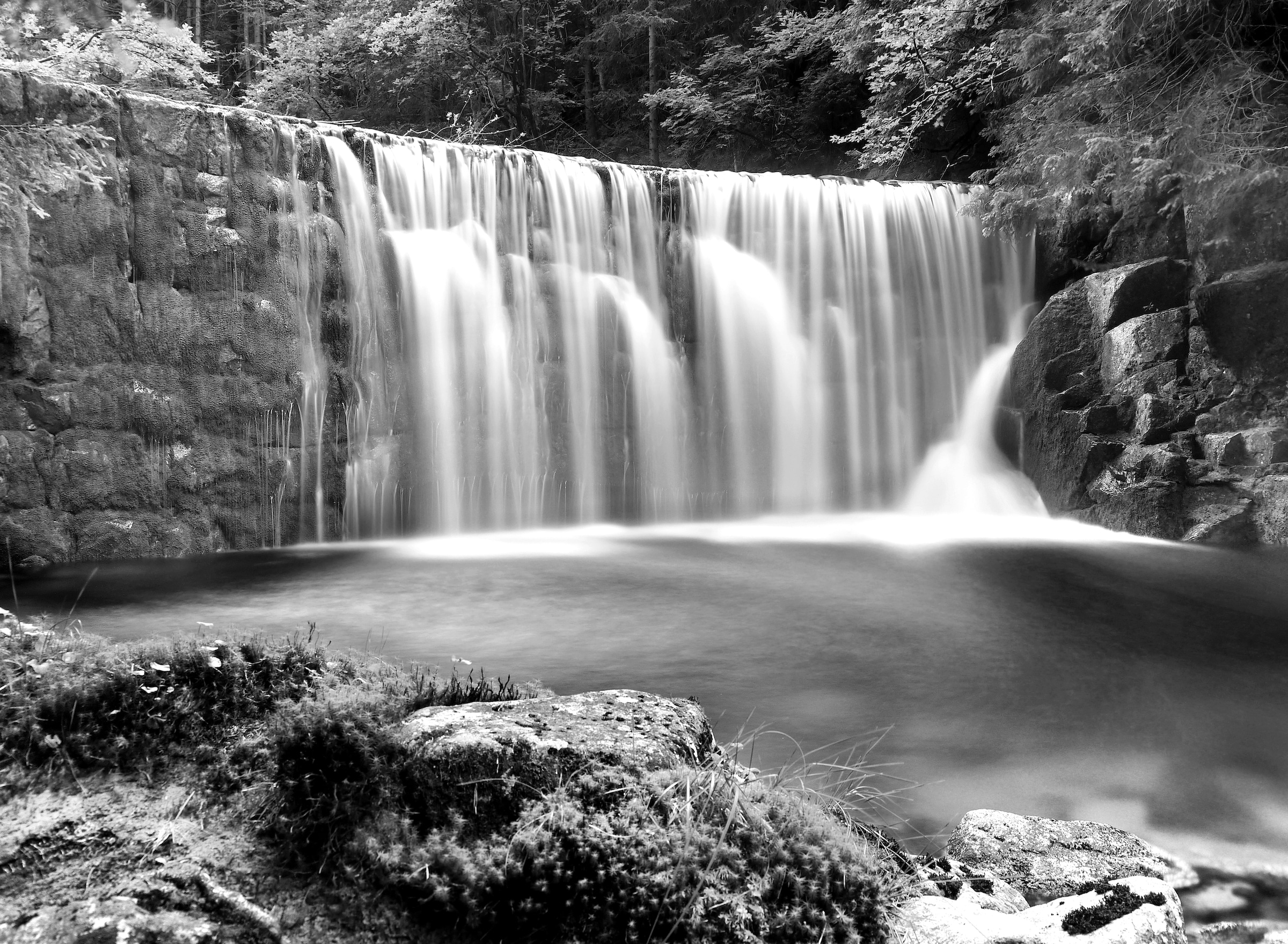 Papermoon Fototapete »Wasserfall im Wald Schwarz & Weiß« günstig online kaufen