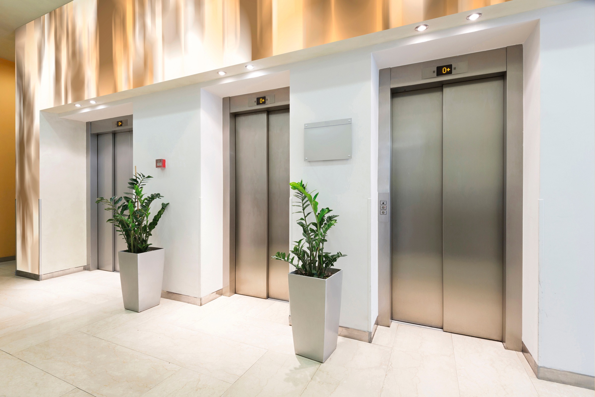 Architects Paper Fototapete »Atelier 47 Diffuse Ornament 2« abstrakt glatt günstig online kaufen