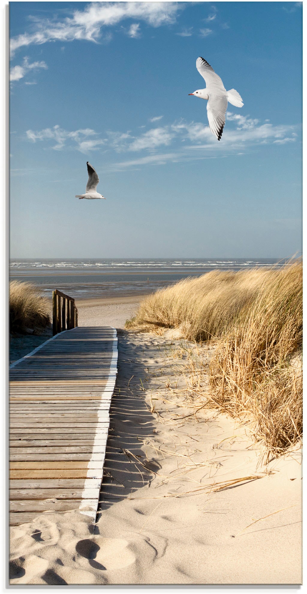 Artland Glasbild »Nordseestrand auf Langeoog mit Möwen«, Strand, (1 St.), i günstig online kaufen