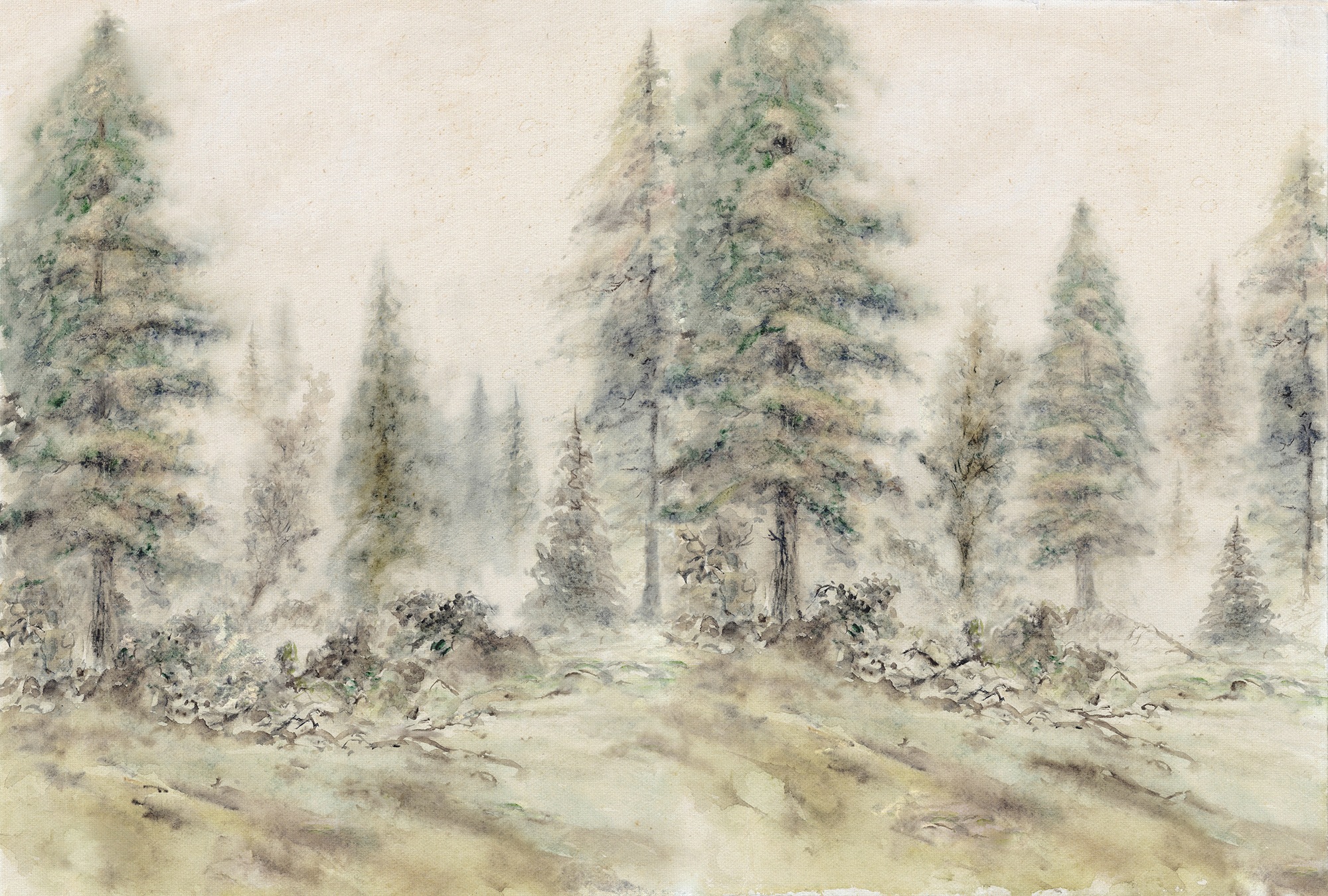 Architects Paper Fototapete »Atelier 47 Aquarel Forest 2« Wald glatt Vlies, günstig online kaufen