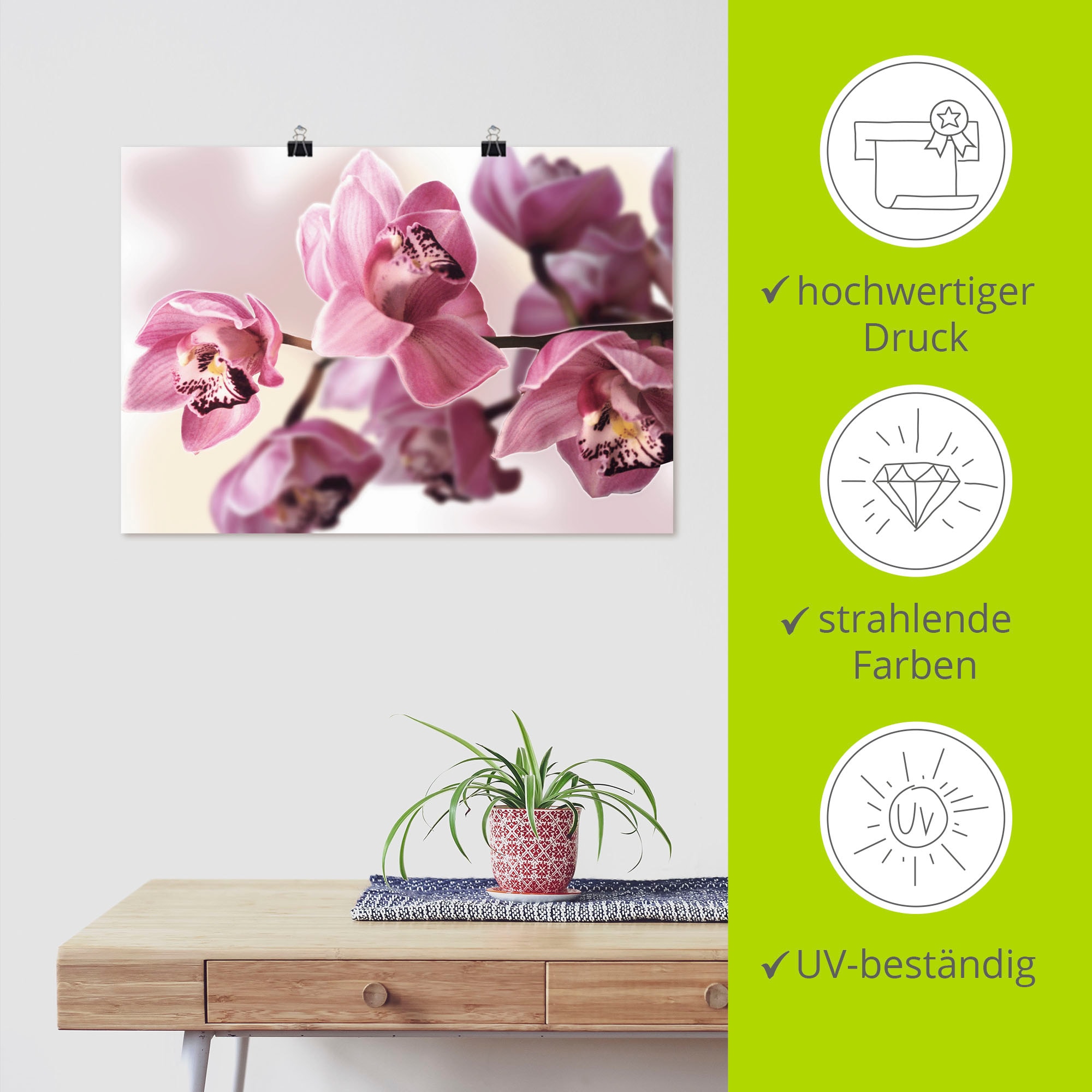 Artland Wandbild »Rosa Orchidee«, Blumenbilder, (1 St.), als Alubild, Outdoorbild, Leinwandbild, Poster, Wandaufkleber