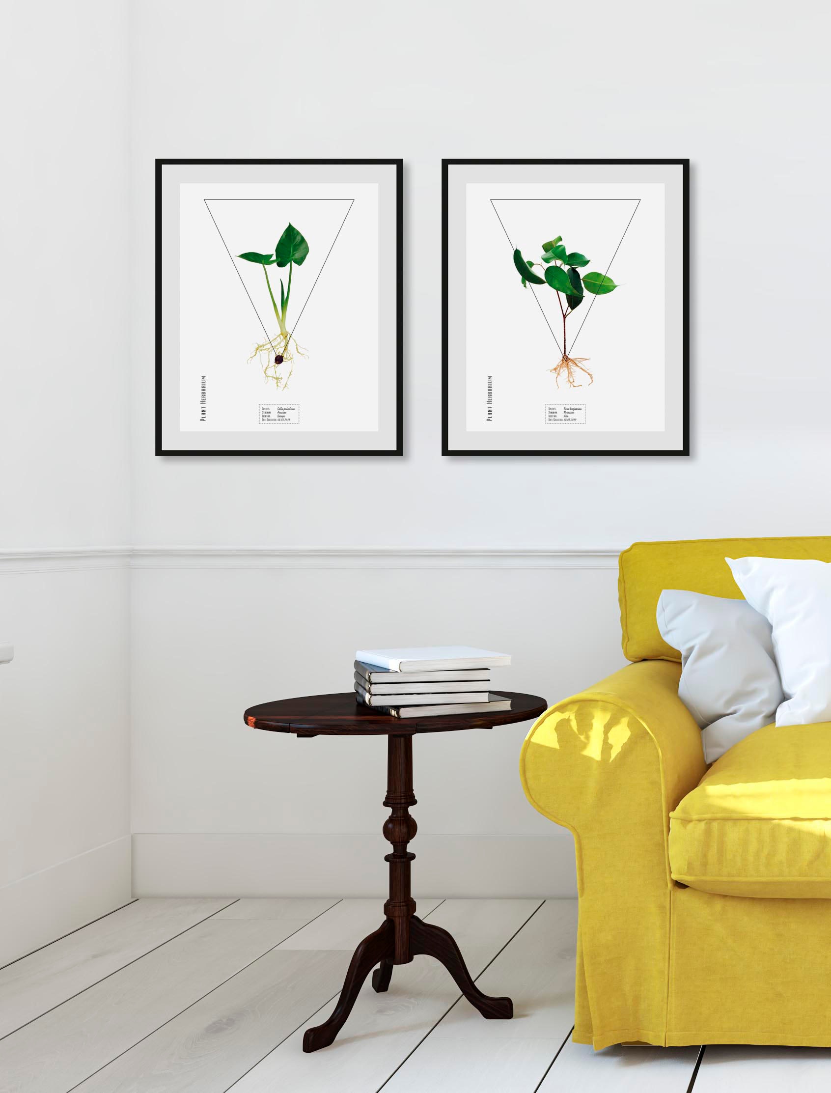 queence Bild »Calla palustrisa« Pflanzen   Pflanzenbilder   Schriftzug 1 St günstig online kaufen