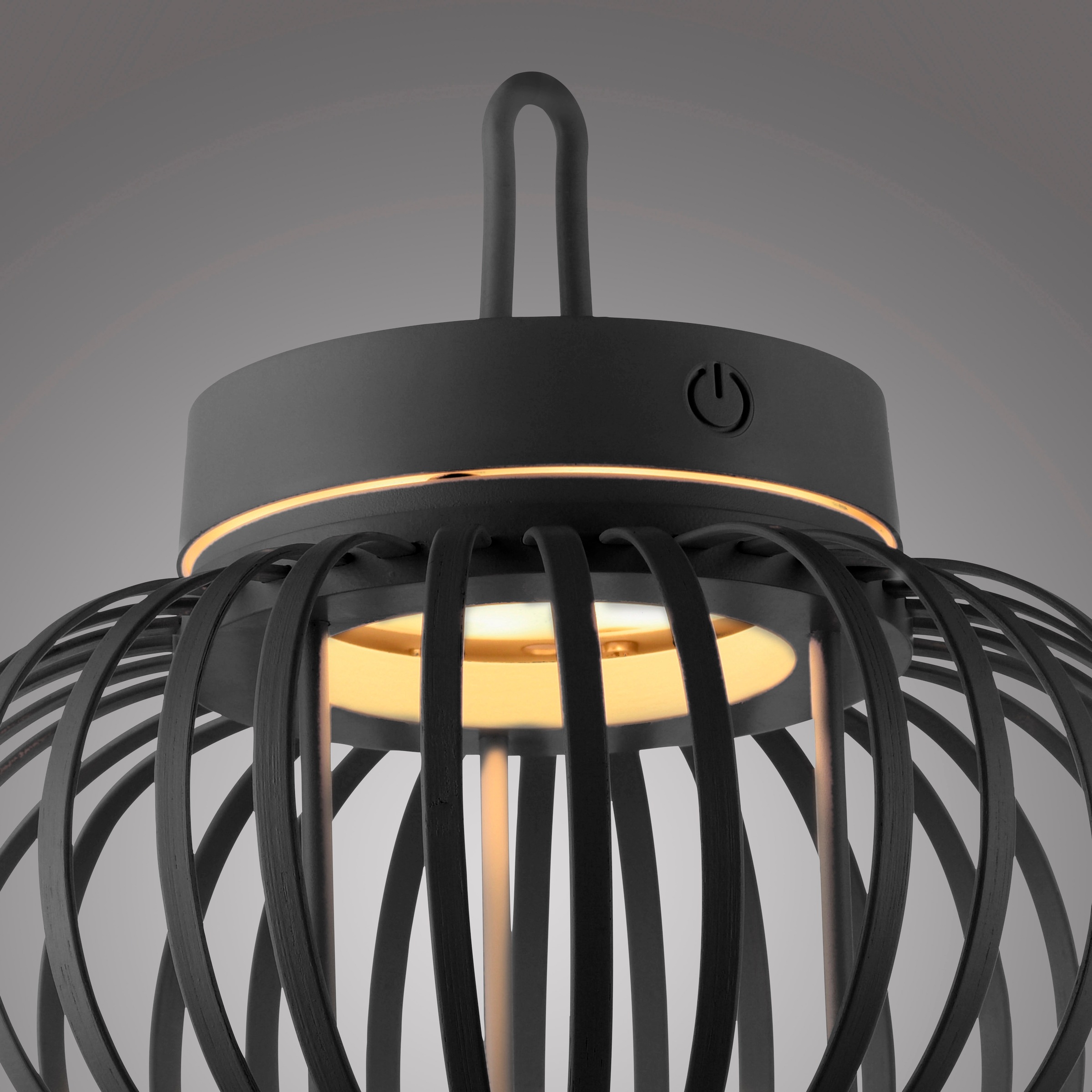 JUST LIGHT Pendelleuchte »AKUBA«, 1 flammig, Leuchtmittel LED-Modul | LED fest integriert, Akkuleuchte