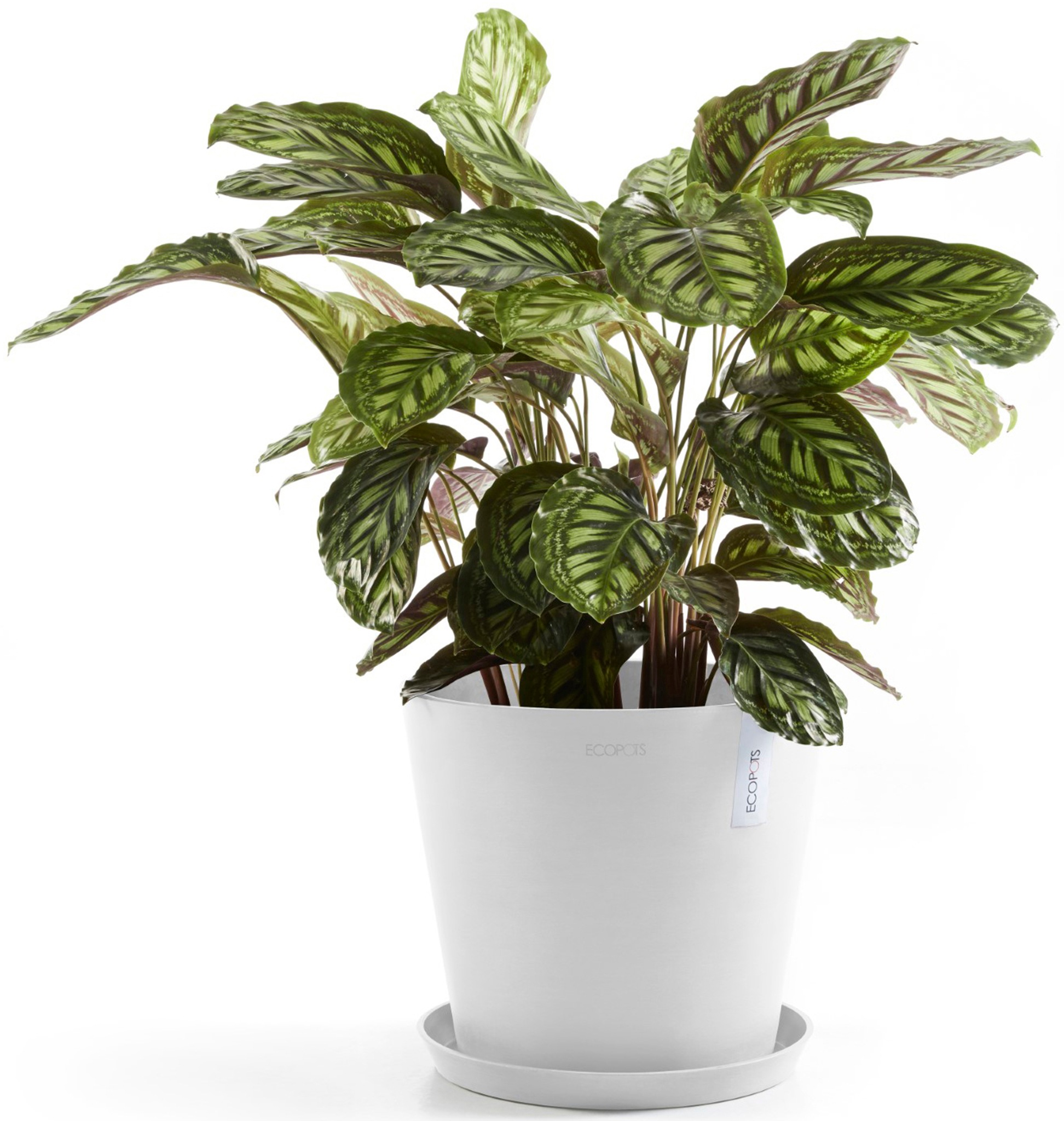ECOPOTS Blumentopf »Amsterdam 30 + Wassersystem Weißgrau«, für innen und außen: frostsicher, bruchsicher und lichtbeständig