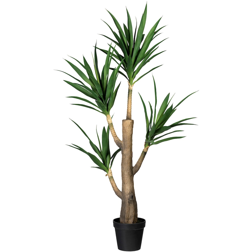 Creativ green Künstliche Zimmerpflanze »Dracaena fragans«