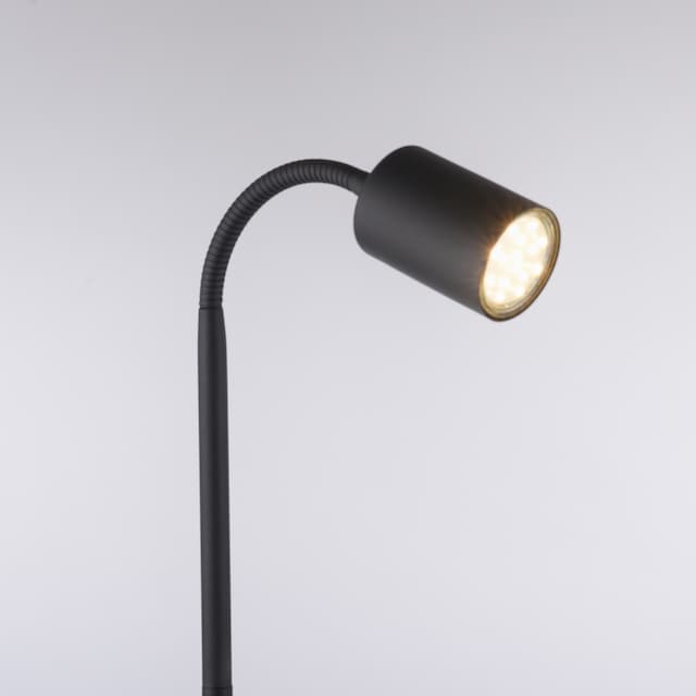 my home LED Stehlampe »Maci«, 1 flammig-flammig, Stehlampe, warmweißes Licht,  dreh- und schwenkbarer Reflektor online bestellen