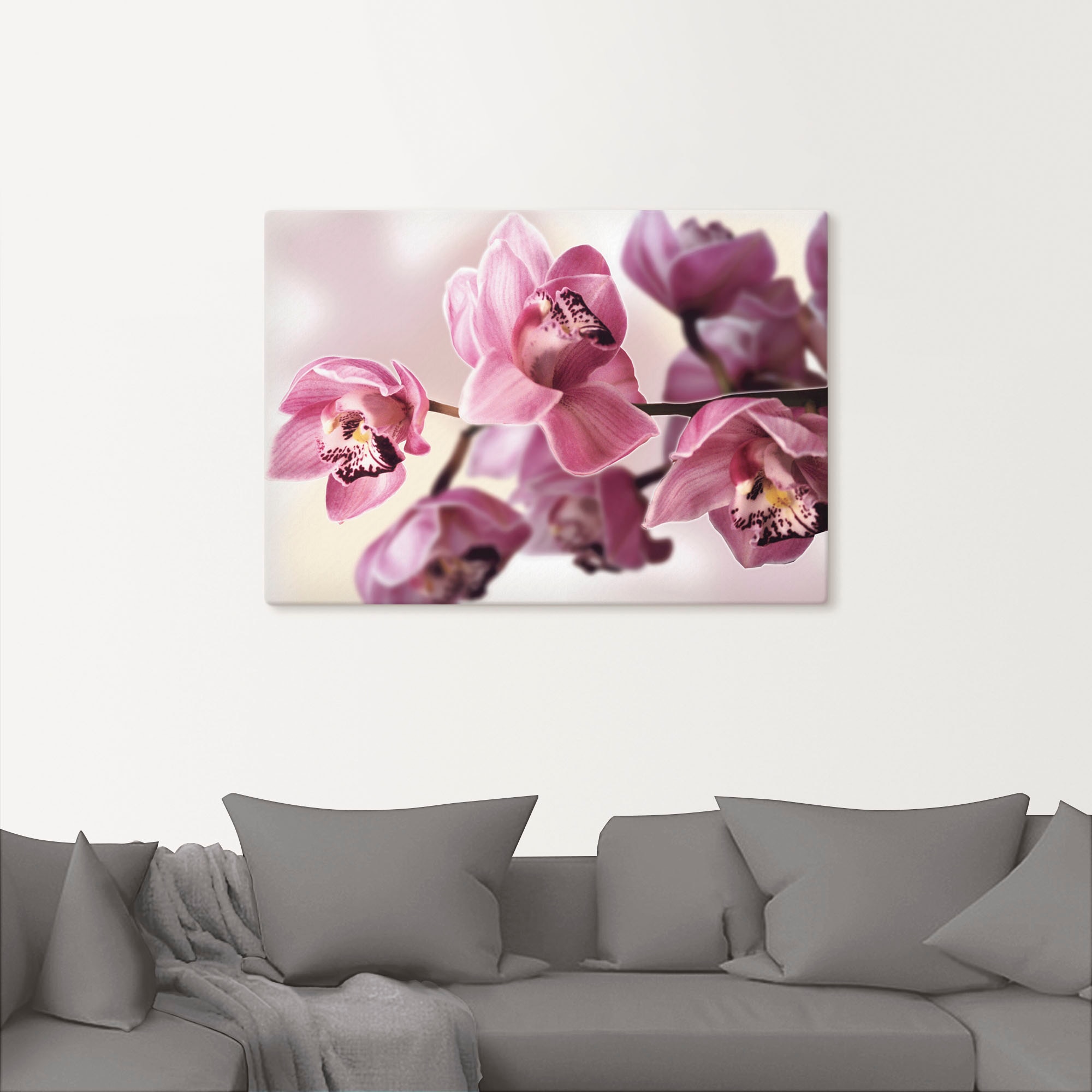 Artland Wandbild »Rosa Orchidee«, Blumenbilder, (1 St.), als Alubild, Outdoorbild, Leinwandbild, Poster, Wandaufkleber
