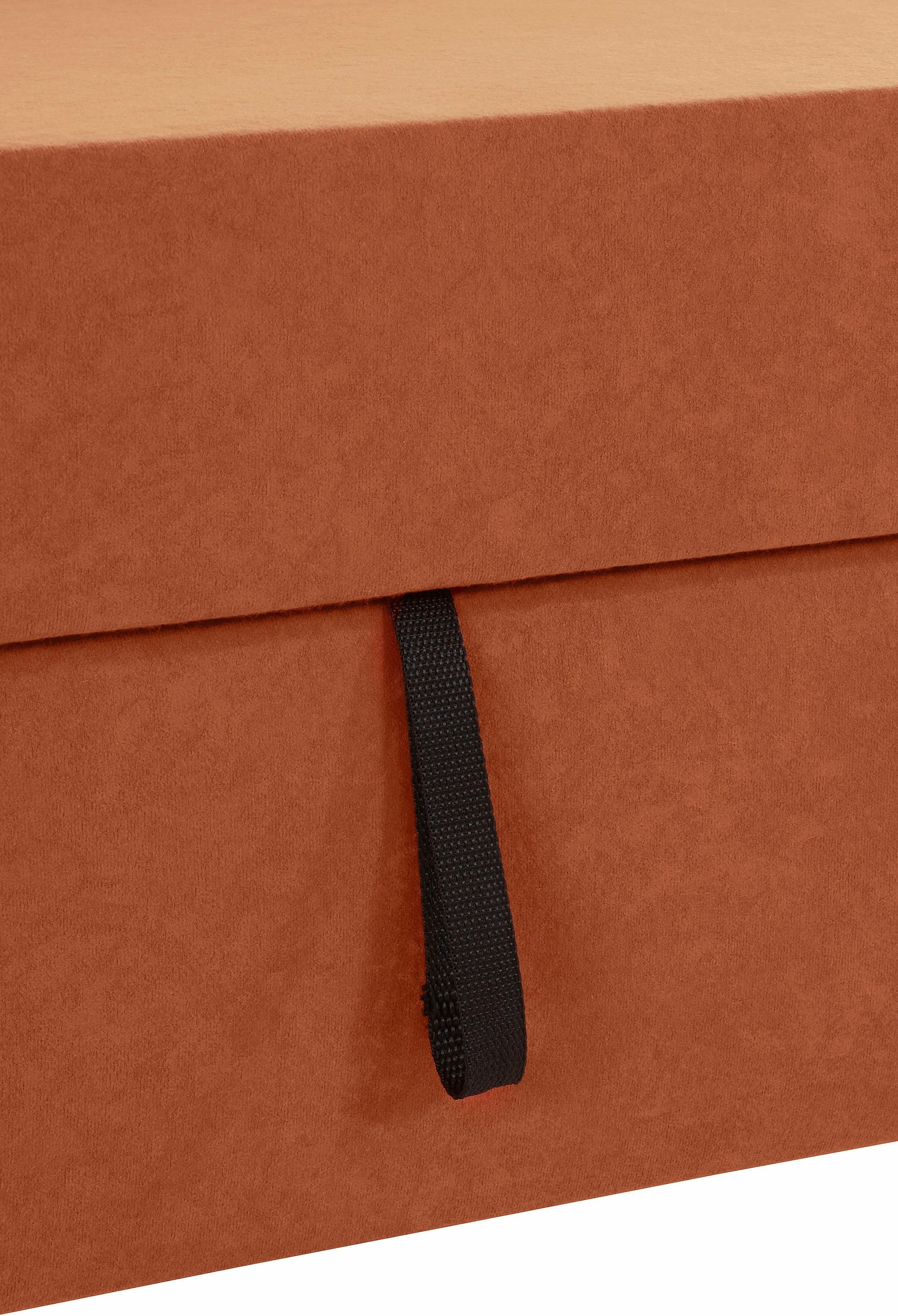 DOMO collection Ecksofa »Sarafina zeitlos und komfortabel, optional mit Federkern, L-Form«, wahlweise mit Bettfunktion