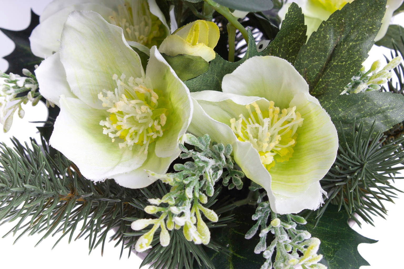 Botanic-Haus Künstliche Zimmerpflanze »Christrosen-Tannen-Arrangement im kaufen auf Topf« Raten