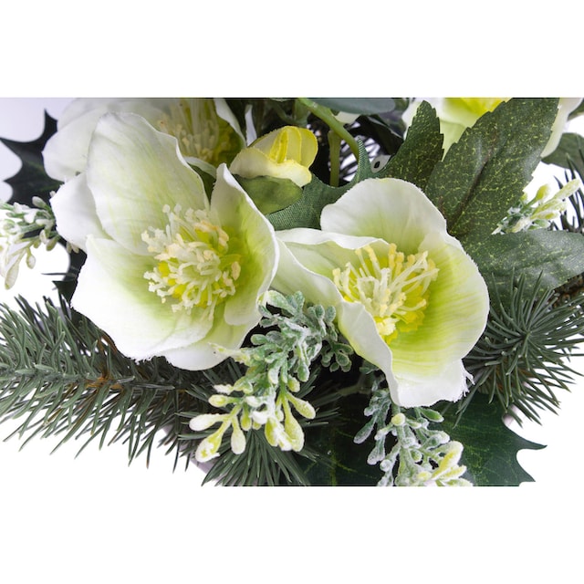 Botanic-Haus Künstliche Zimmerpflanze »Christrosen-Tannen-Arrangement im  Topf« auf Raten kaufen