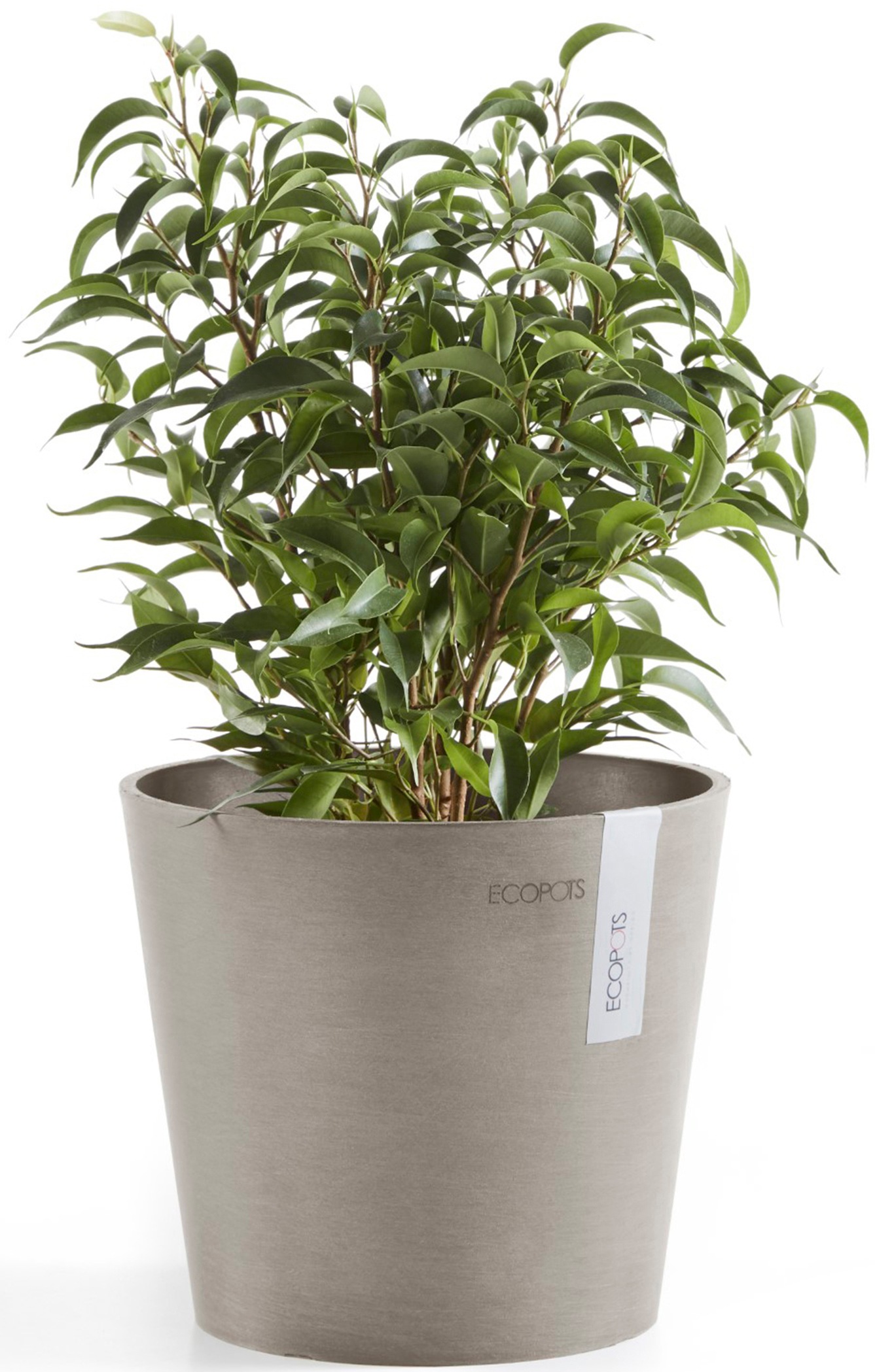 ECOPOTS Blumentopf »Amsterdam Mini 17 Taupe«, für den Innenbereich