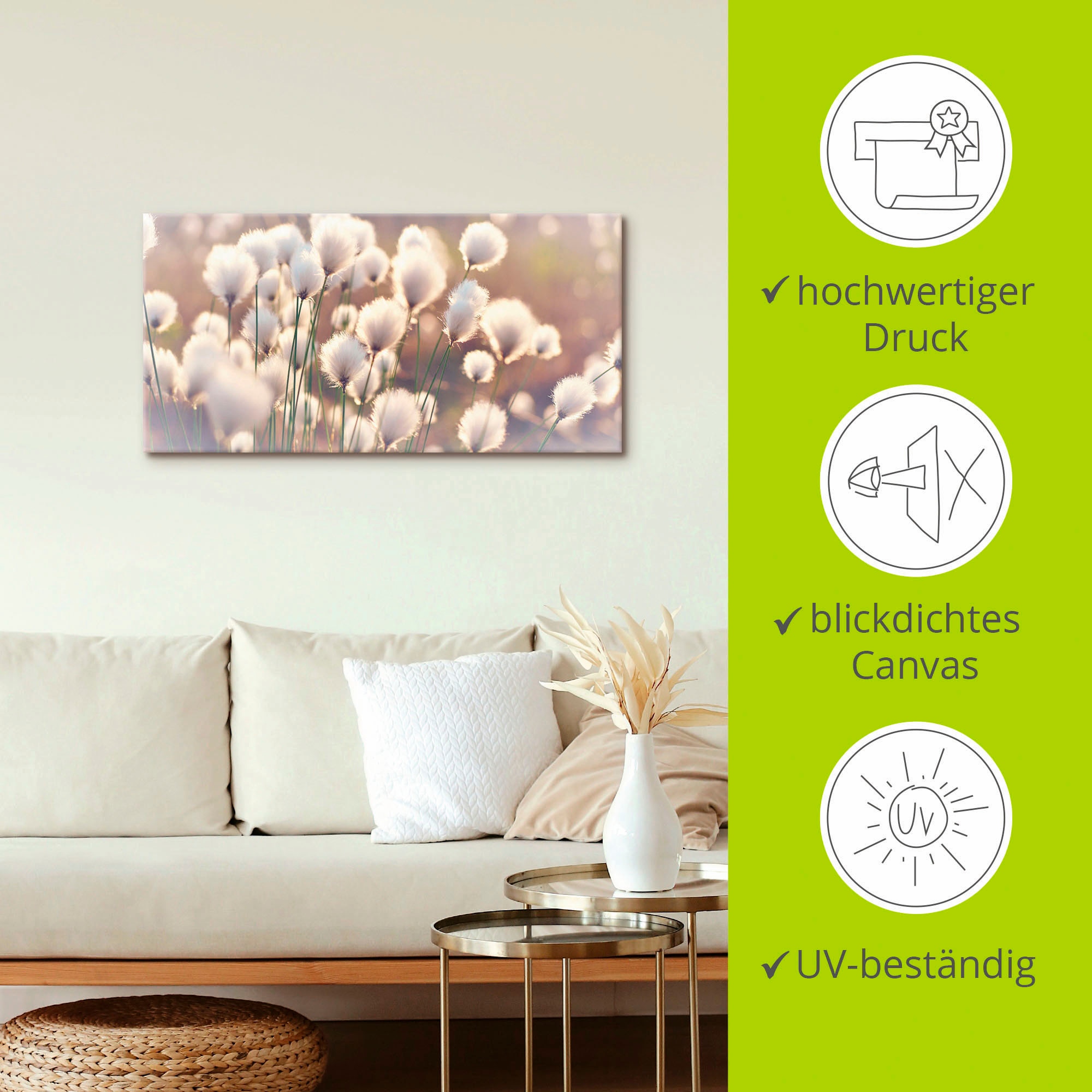 Artland Wandbild »Wollgraszauber im Moor«, Gräser, (1 St.), als Alubild, Outdoorbild, Leinwandbild, Poster, Wandaufkleber