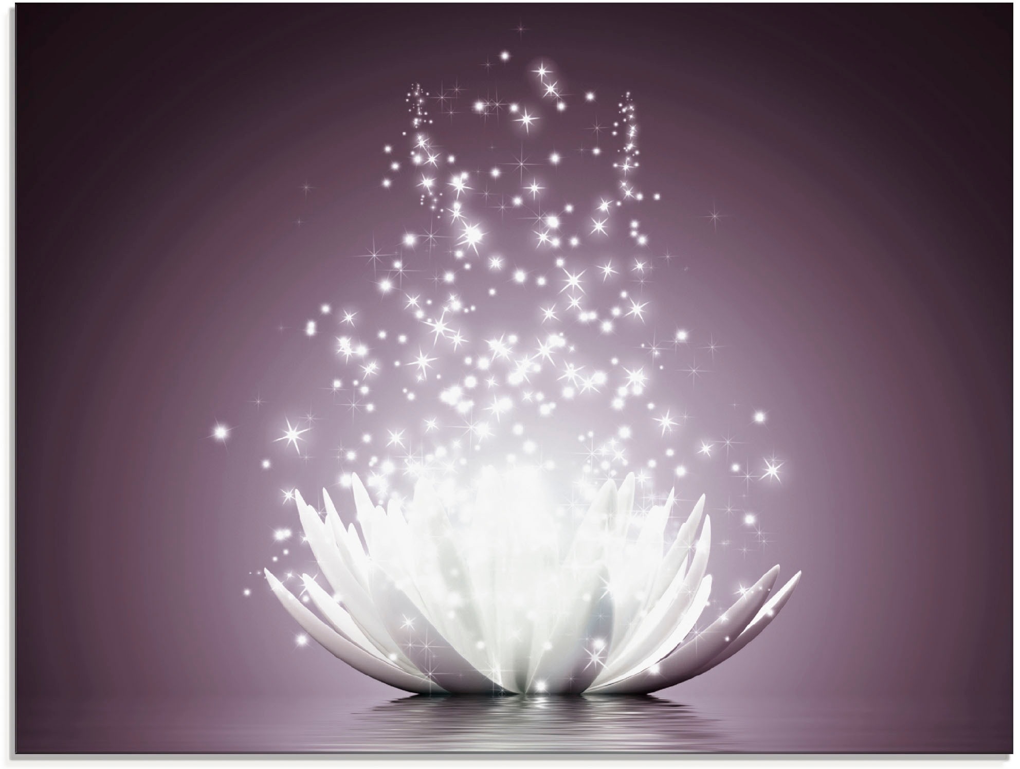 Artland Glasbild »Magie der Lotus-Blume«, Blumen, (1 St.), in verschiedenen günstig online kaufen