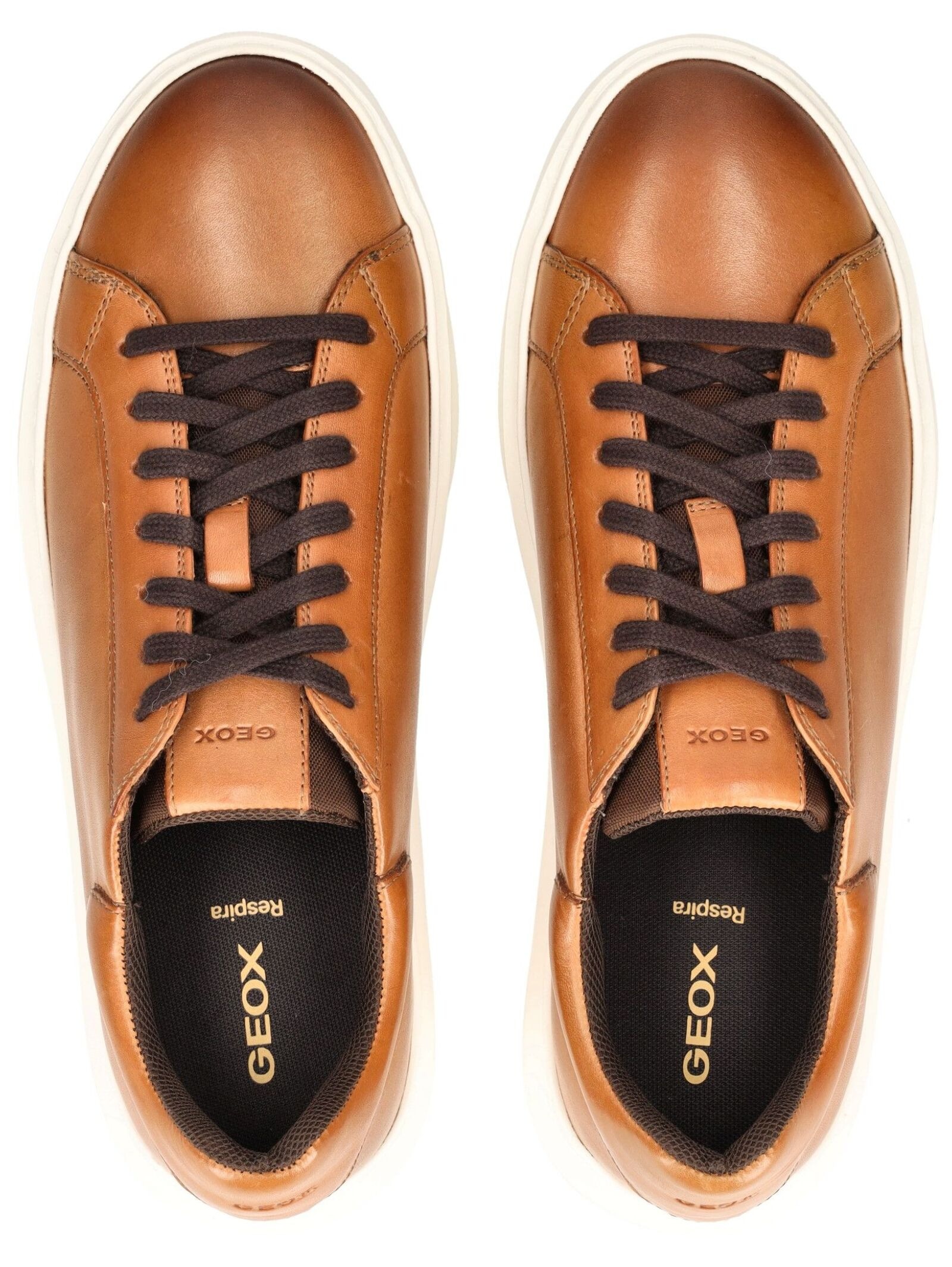 Geox Sneaker »Geox Sneaker Leder/Textil«