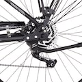 FISCHER Fahrrad E-Bike »VIATOR ETD 1861 557«, 10 Gang, Shimano, Deore, Mittelmotor 250 W, (mit Akku-Ladegerät-mit Gepäckträgertasche-mit Werkzeug)