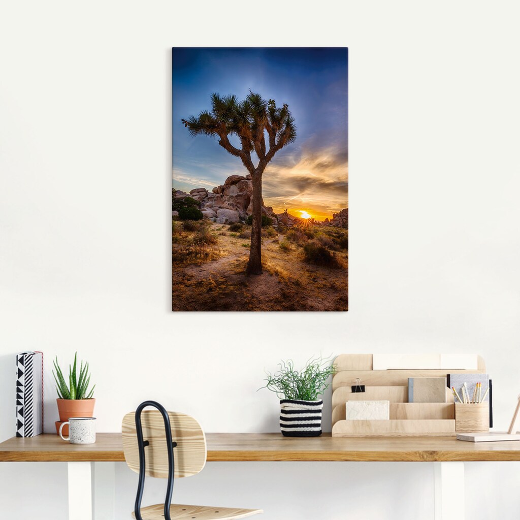 Artland Wandbild »Sonnenuntergang Joshua Tree NationalPark« (1 Stück), in vielen Größen & Produktarten - Alubild / Outdoorbild für den Außenbereich, Leinwandbild, Poster, Wandaufkleber / Wandtattoo auch für Badezimmer geeignet