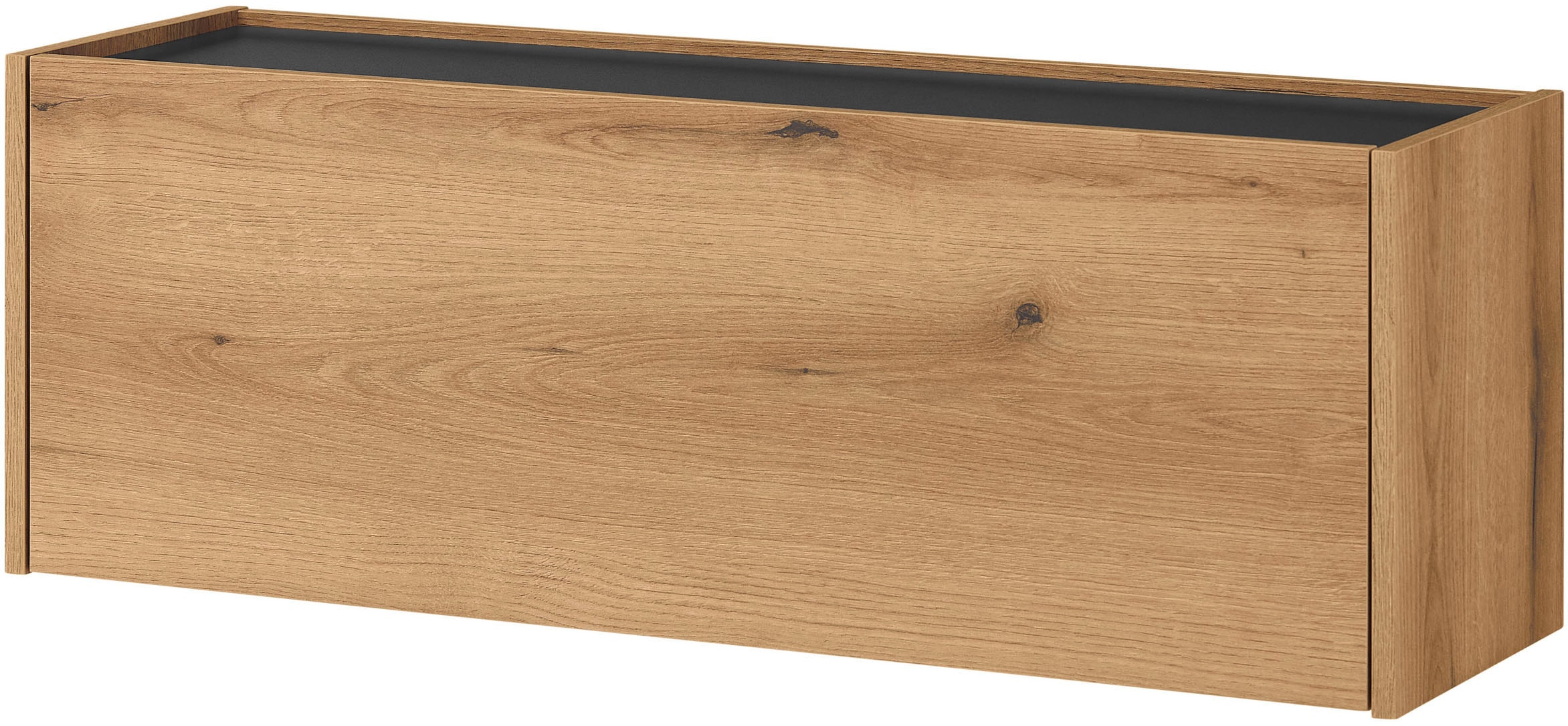 INOSIGN Hängeschrank »GiRON/CiTY, Wandgarderobe in vier Farben, Wandschrank«, zeitloses Design, Breite 100 cm, großes Fach