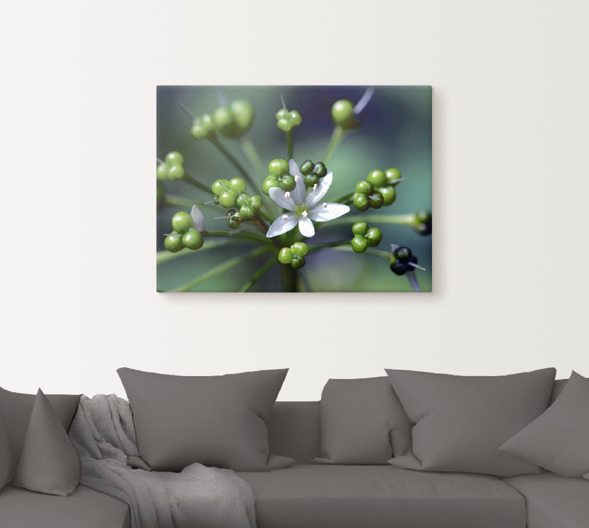 Artland Wandbild »Bärlauchblüte« Blumen 1 Stk. tlg. als Leinwandbild, Poste günstig online kaufen