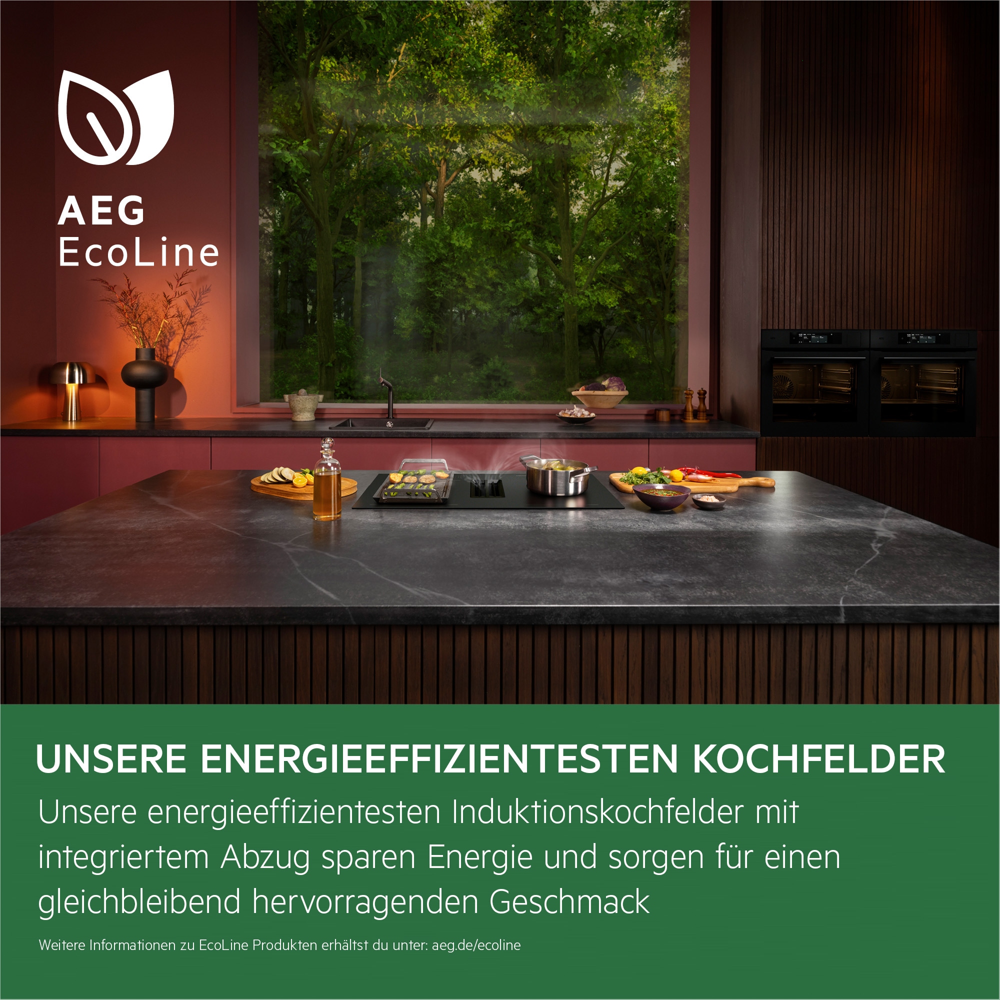 AEG Kochfeld mit Dunstabzug »TH84CB0FRB«, 4 individuell einstellbare Kochzonenregle
