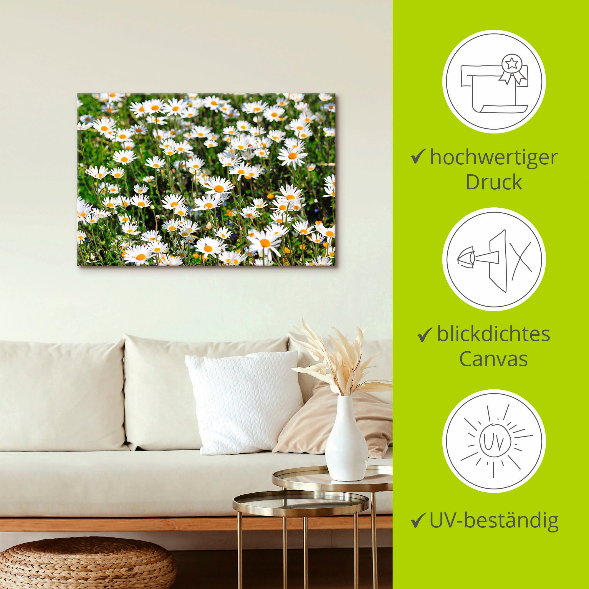 Artland Wandbild »Gänseblümchen«, Blumen, (1 St.), als Alubild, Outdoorbild, Leinwandbild in verschied. Größen