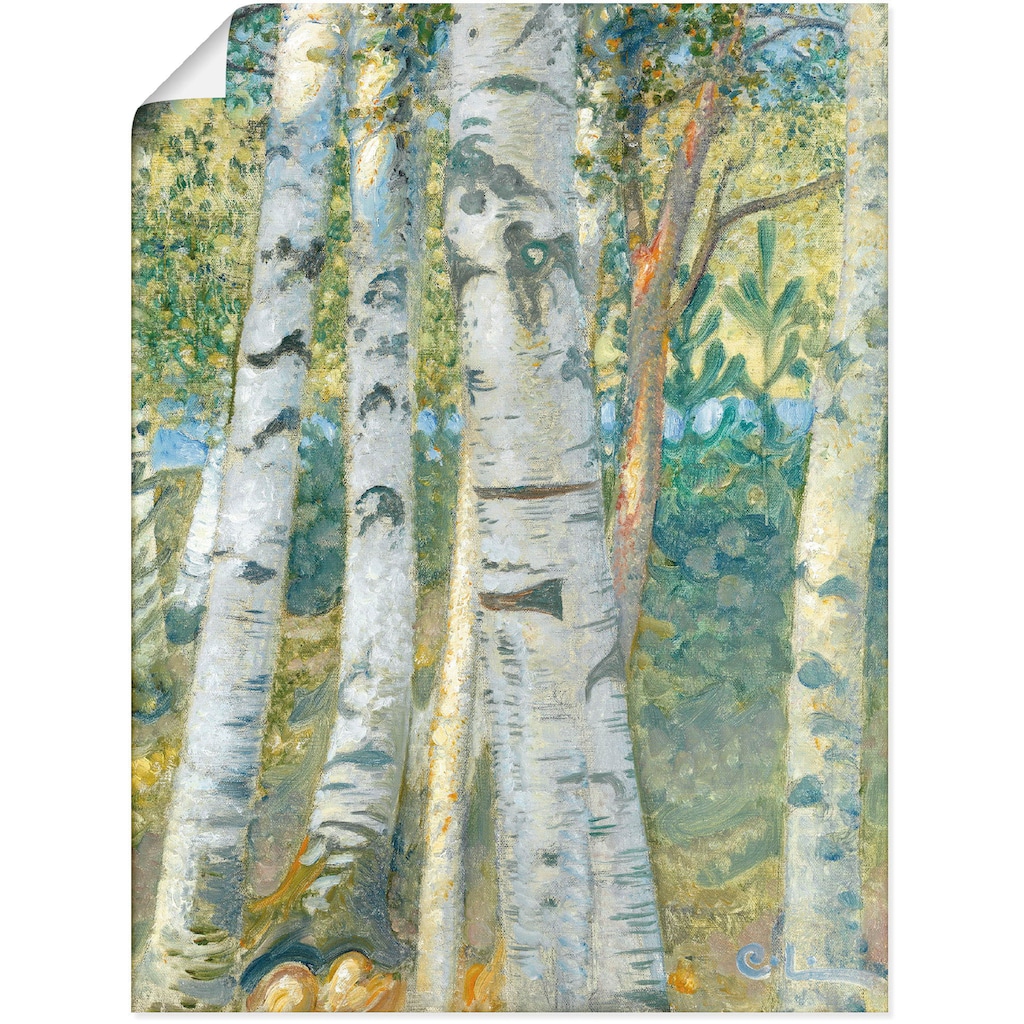 Artland Kunstdruck »Birkenstämme. 1910«, Bäume, (1 St.)