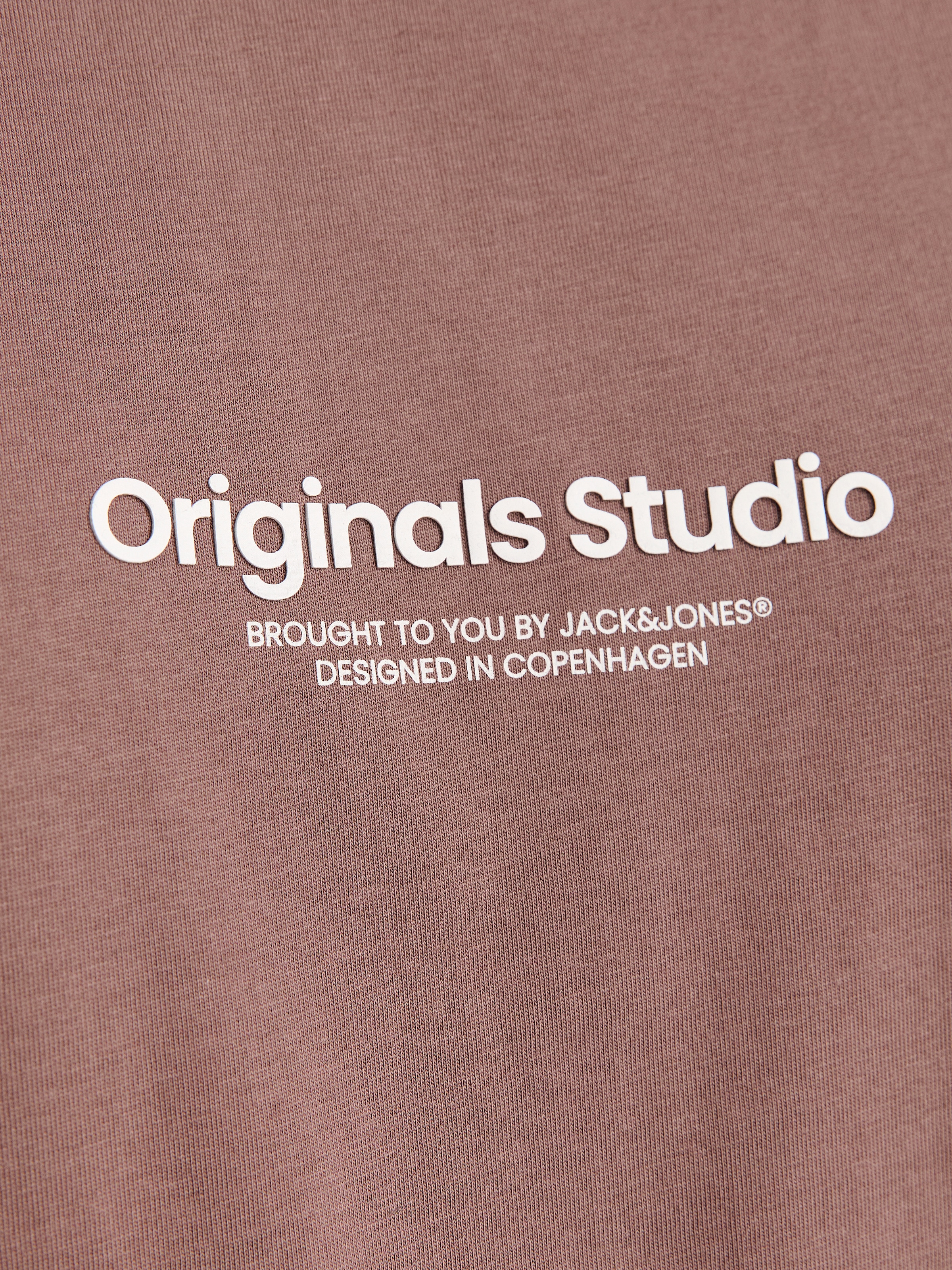 Jack & Jones PlusSize Kurzarmshirt »JORVESTERBRO TEE SS CREW NECK NOOS PLS«