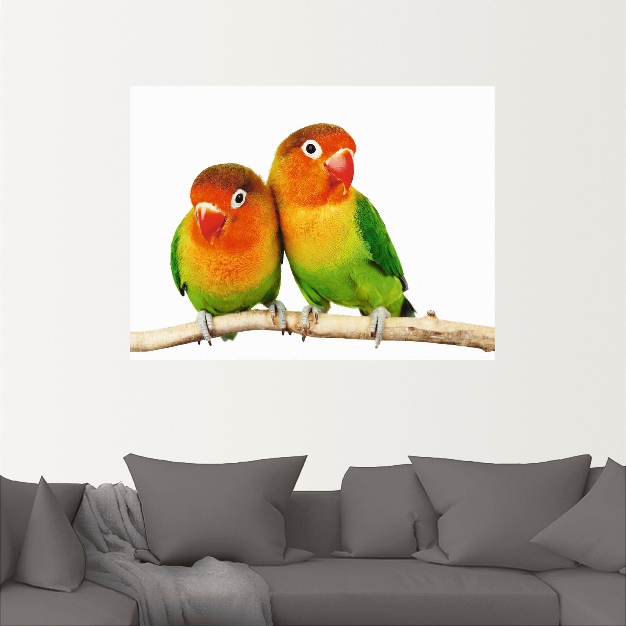 Artland Wandbild »Paar von Grauköpfchen - Papageien«, Vögel, (1 St.), als Leinwandbild, Poster, Wandaufkleber in verschied. Größen