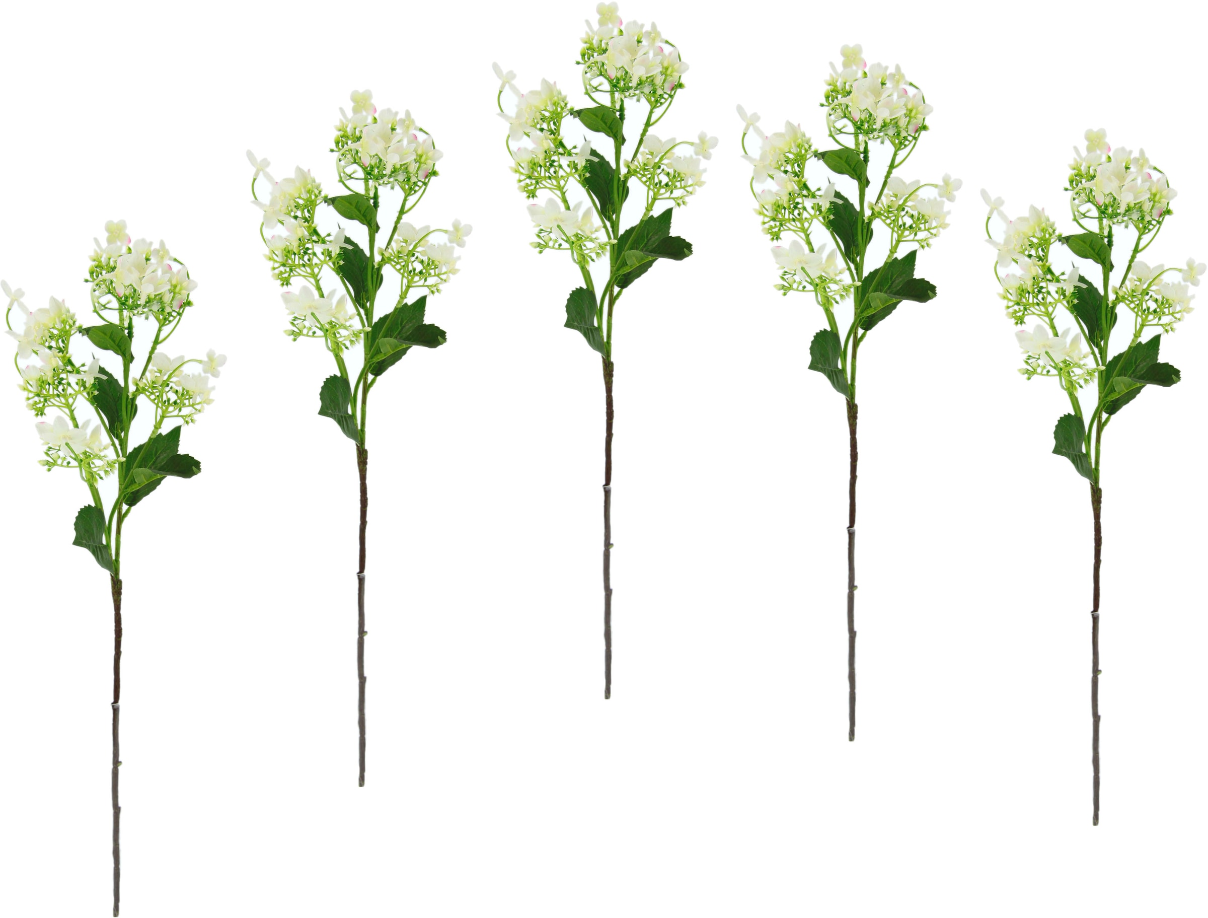 Dekozweig Set 5er bestellen I.GE.A. Zweig, Kunstblume »Blütenzweig«, Kunstpflanze, online künstlicher