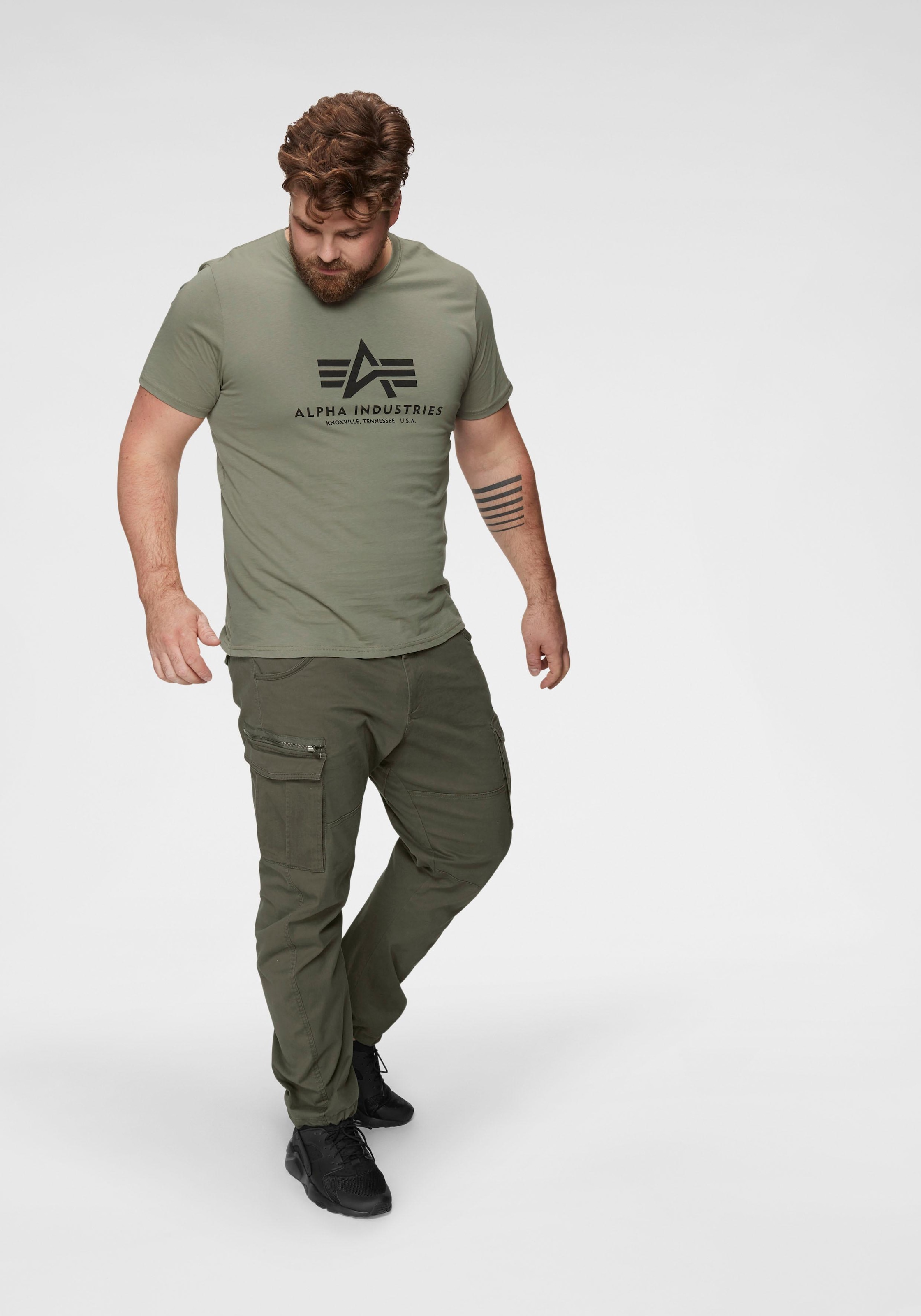 Alpha Industries T-Shirt »Basic T-Shirt«