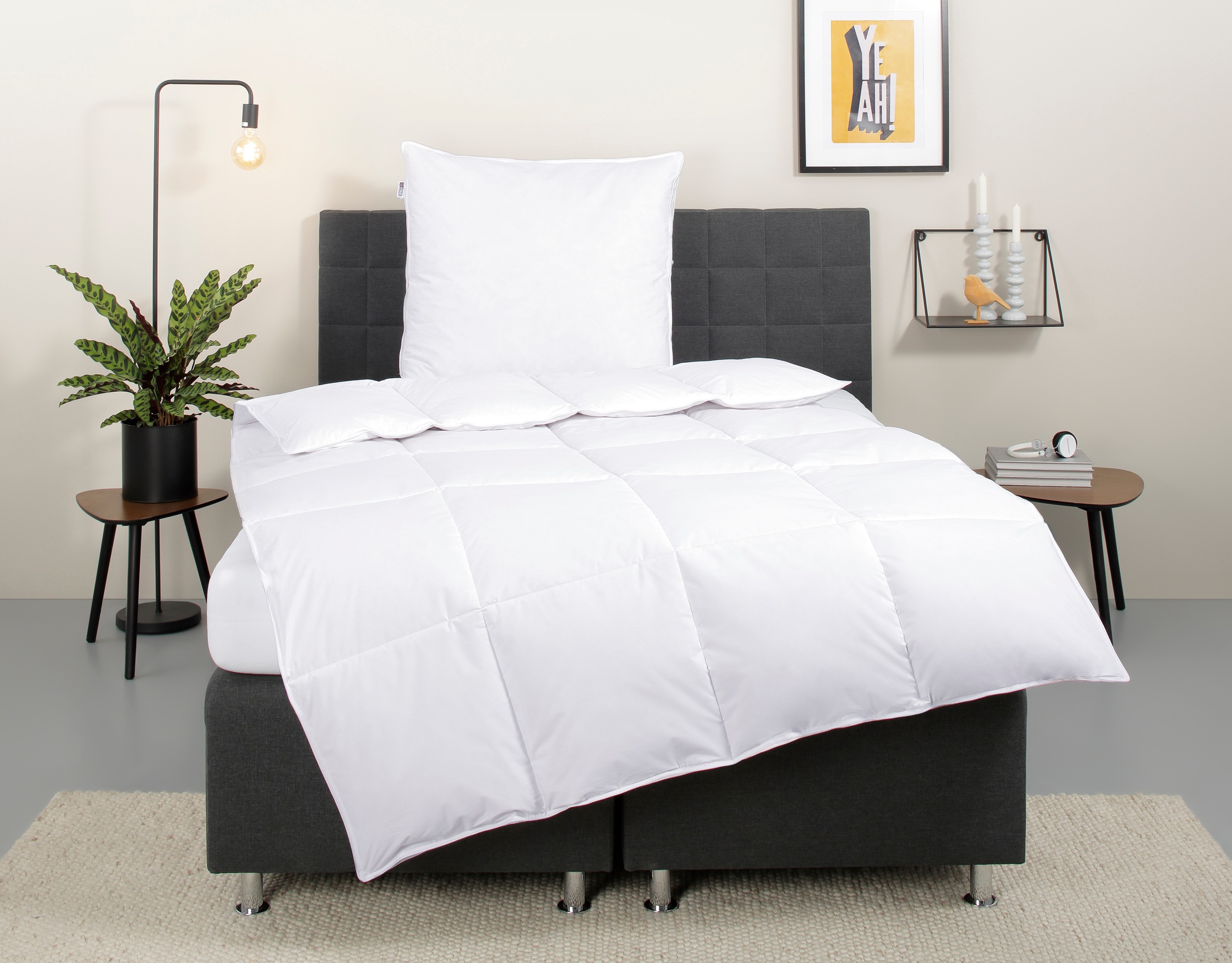 my home Daunenbettdecke + Kopfkissen »Cyra Set, Bettdecke 135x200 & 155x220 günstig online kaufen