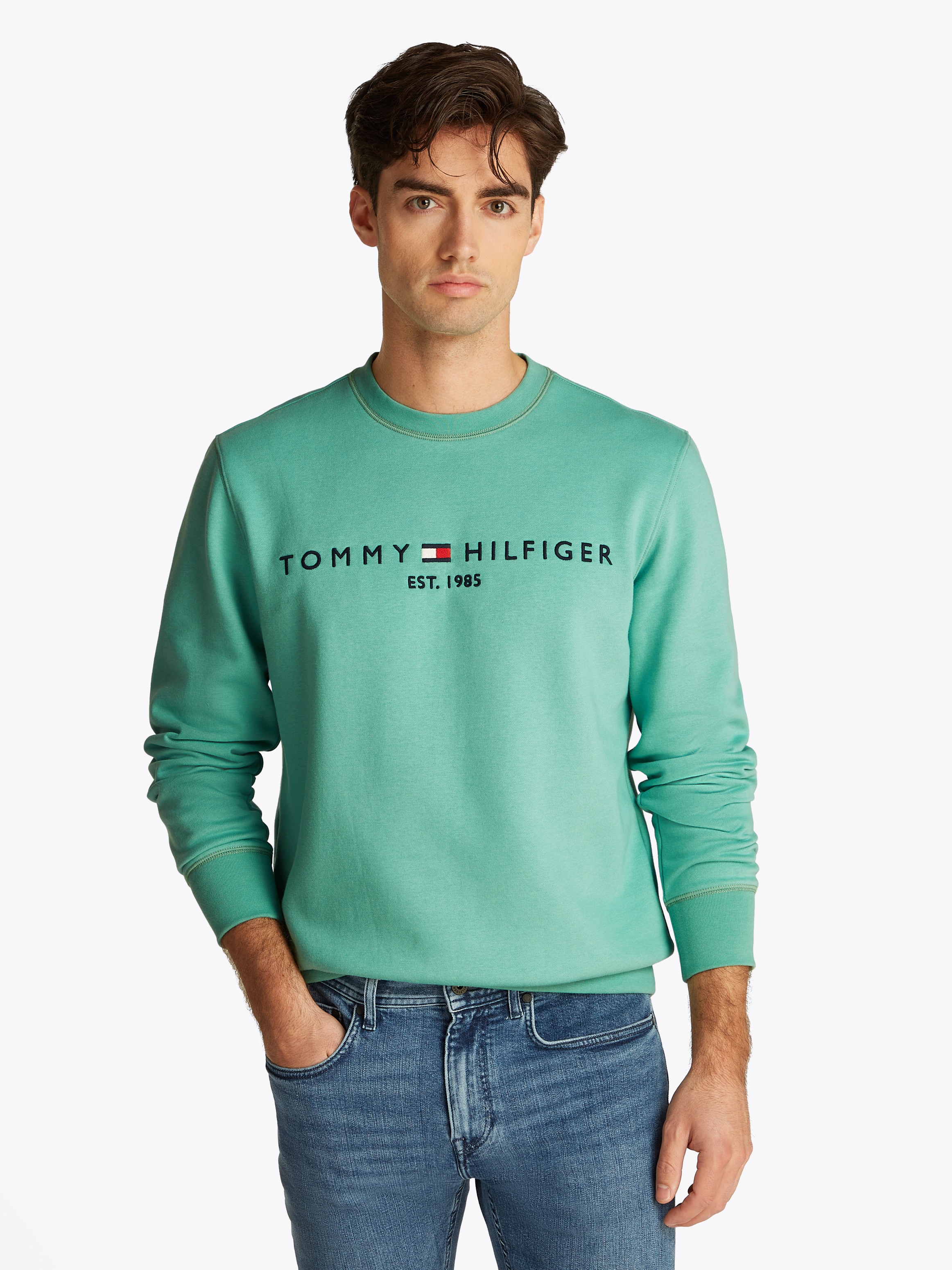 Tommy Hilfiger Sweatshirt »TOMMY LOGO SWEATSHIRT«, mit klassischem Rundhalsausschnitt