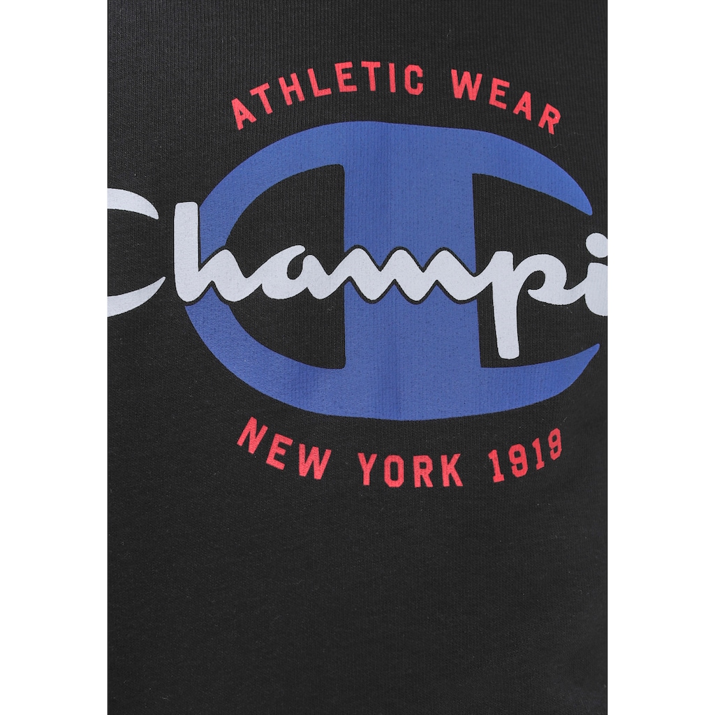 Champion Kapuzensweatshirt