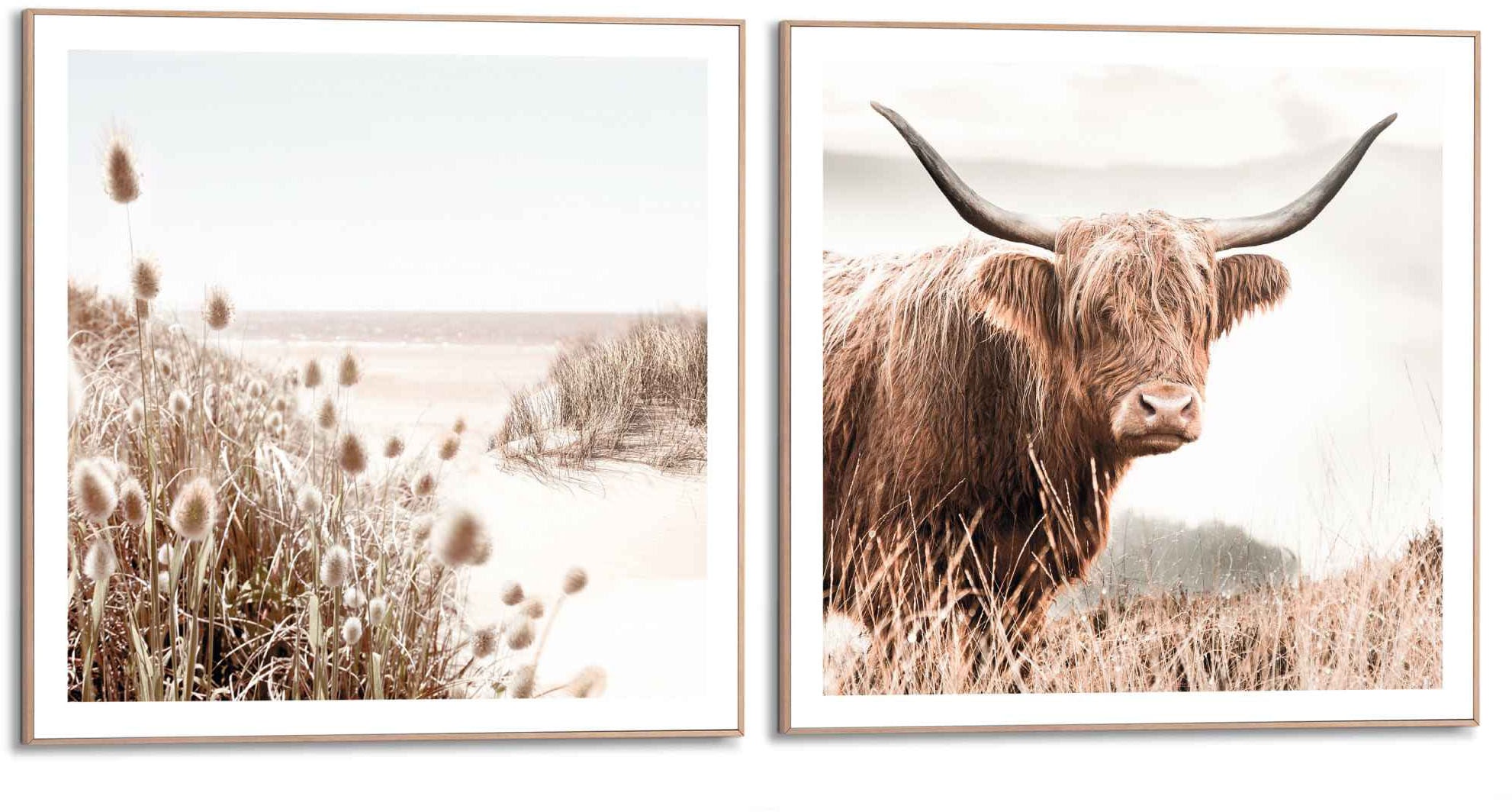 Reinders! Wandbild »Freie Natur Highlander - Kuh - Heide - Strand - Ruhe«, günstig online kaufen