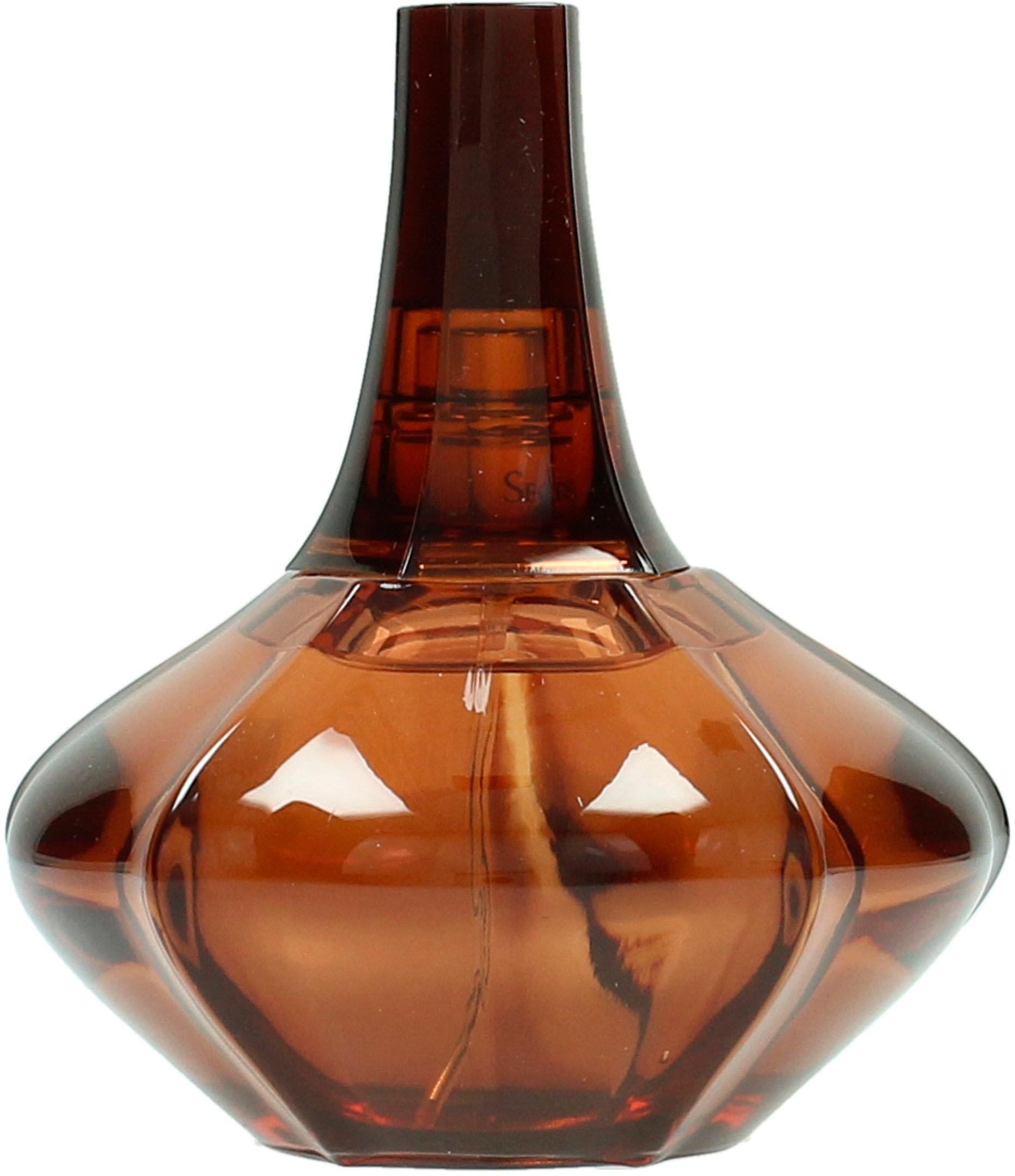 secret obsession klein