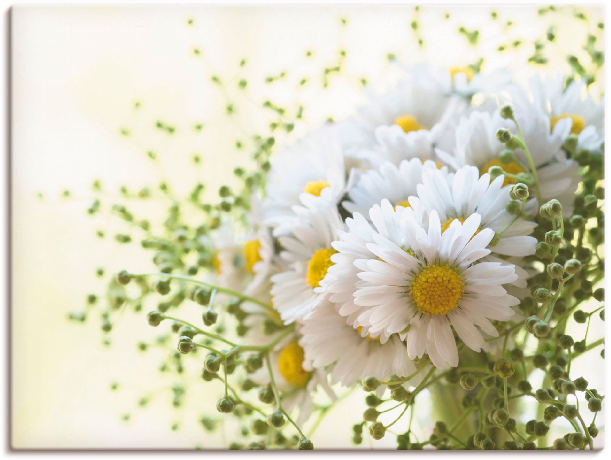 Artland Wandbild »Gänseblümchen und Hofstaat« Blumen 1 Stk. tlg. als Leinwa günstig online kaufen