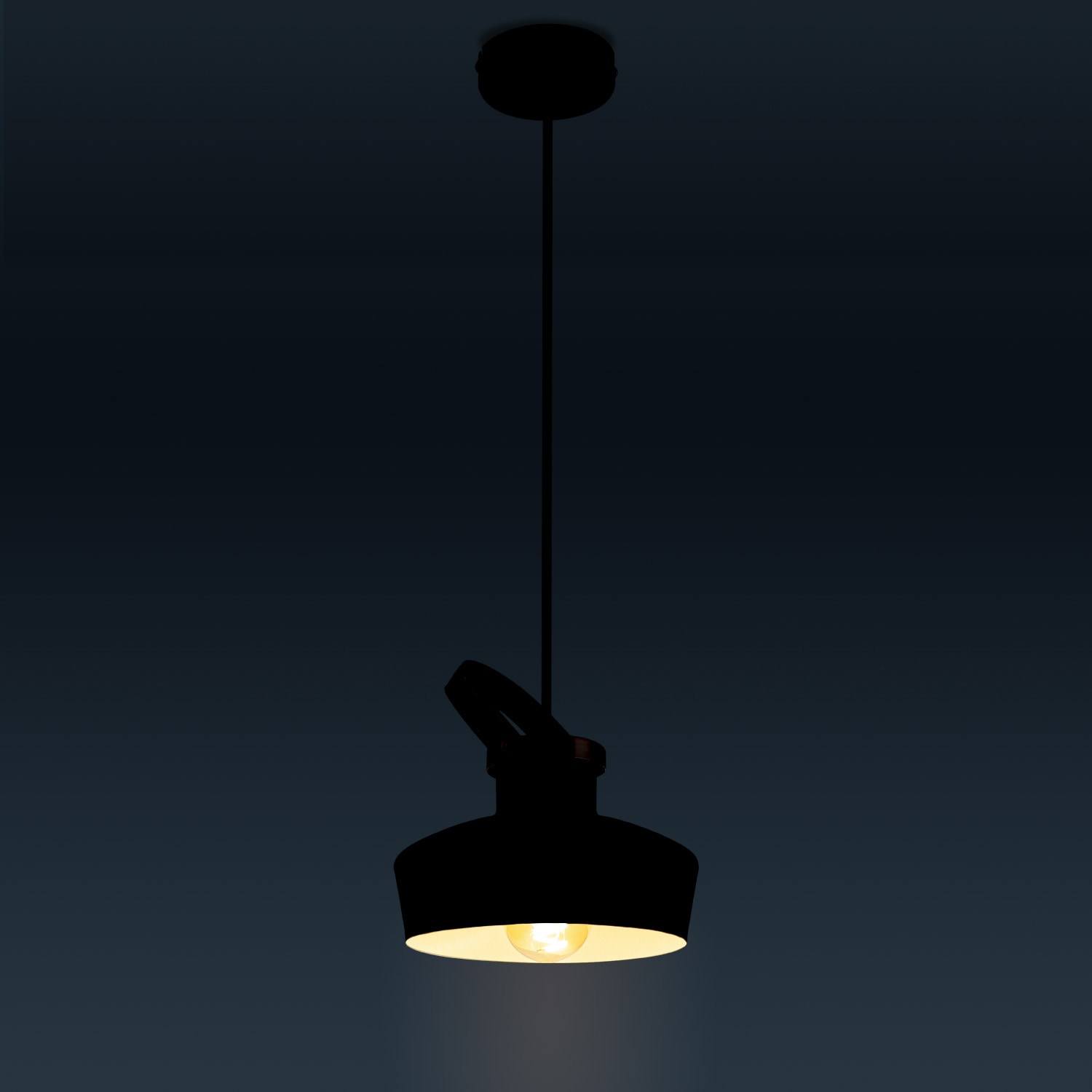 Paco Home Pendelleuchte »INKA M« E27