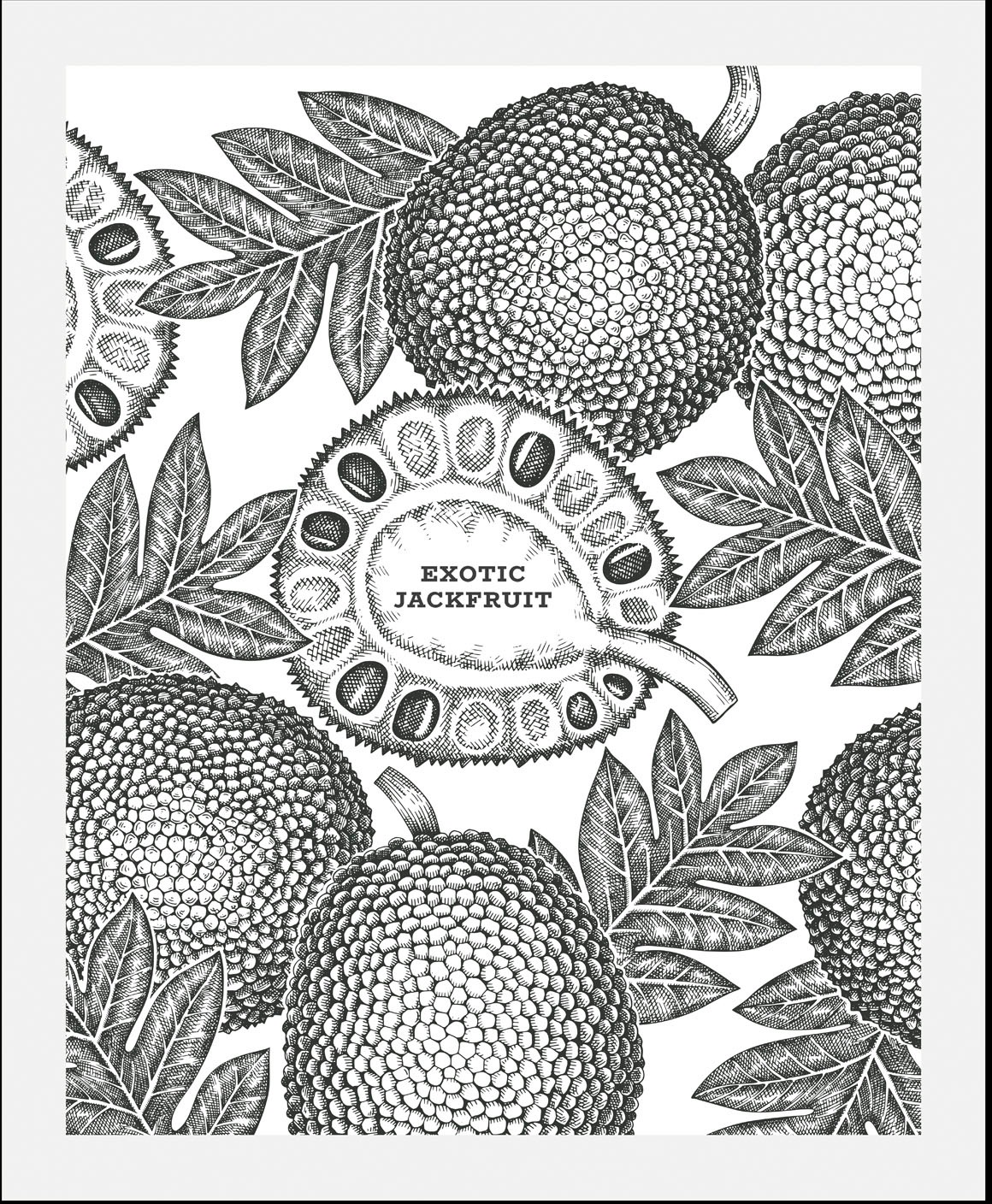 queence Bild »Exotic Jackfruit«, Obst-Obst Bilder-Essen-Lebensmittel-Kunst- günstig online kaufen
