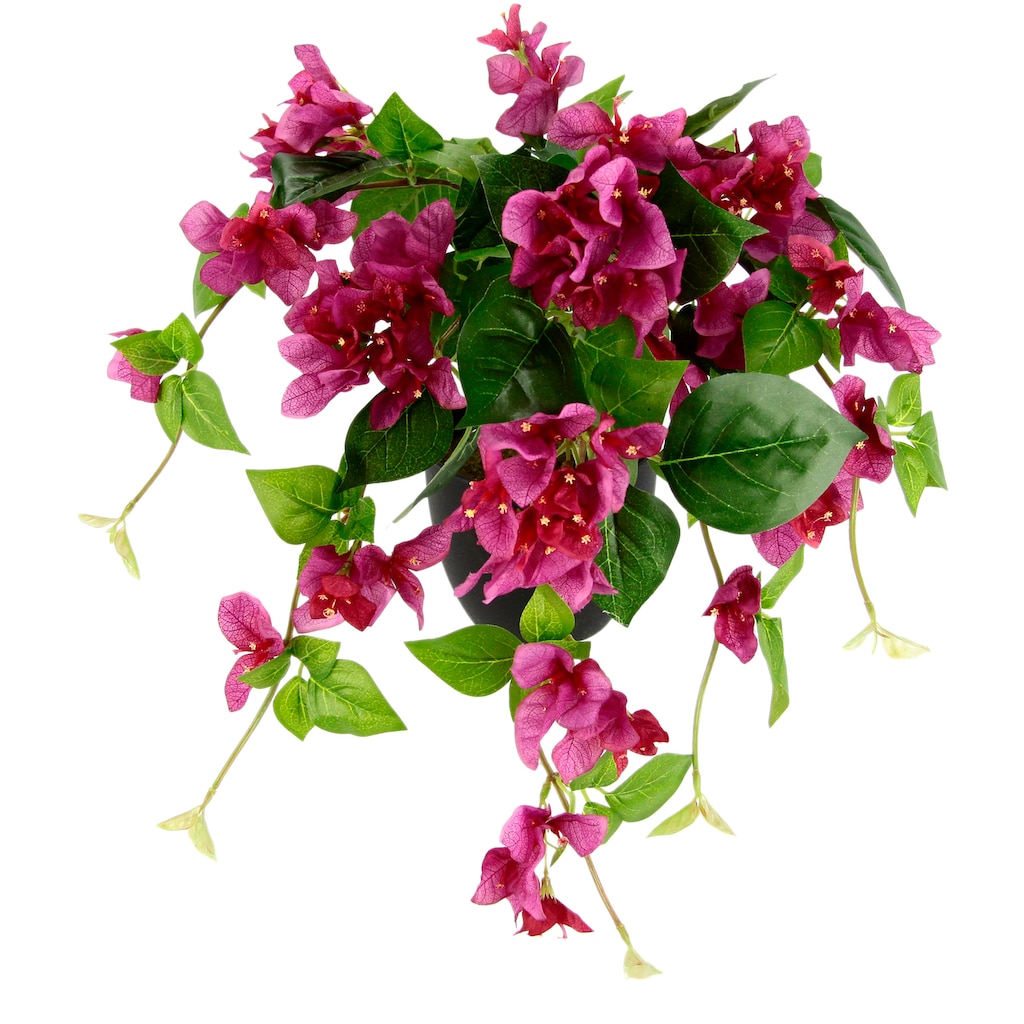 I.GE.A. Kunstpflanze »Bougainvillea«