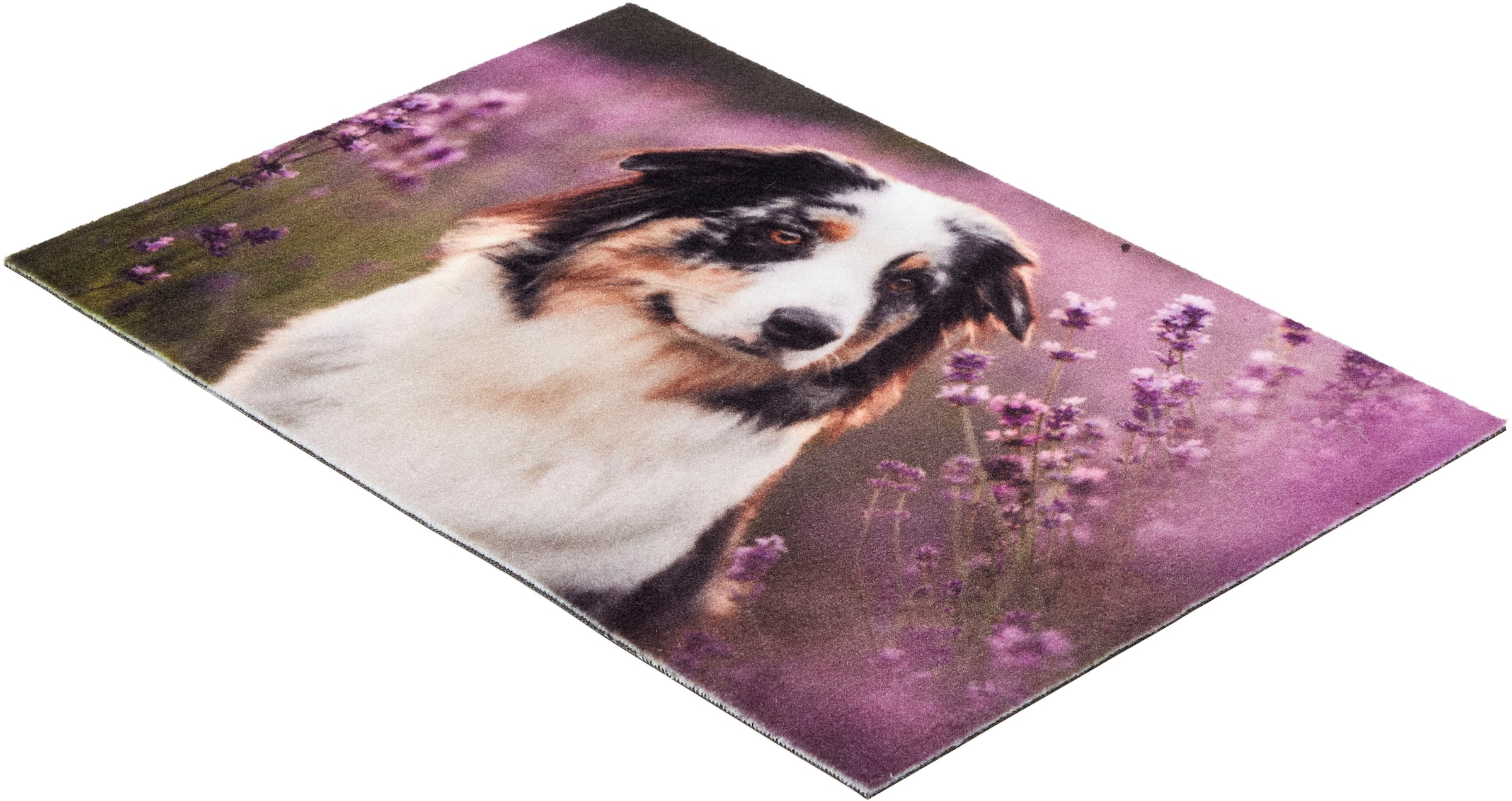 ASTRA Fußmatte »Deco Print 105« rechteckig 5 mm Höhe Sauberlaufmatte, Türmatte, waschbar, Eingangsbereich, rutschfest