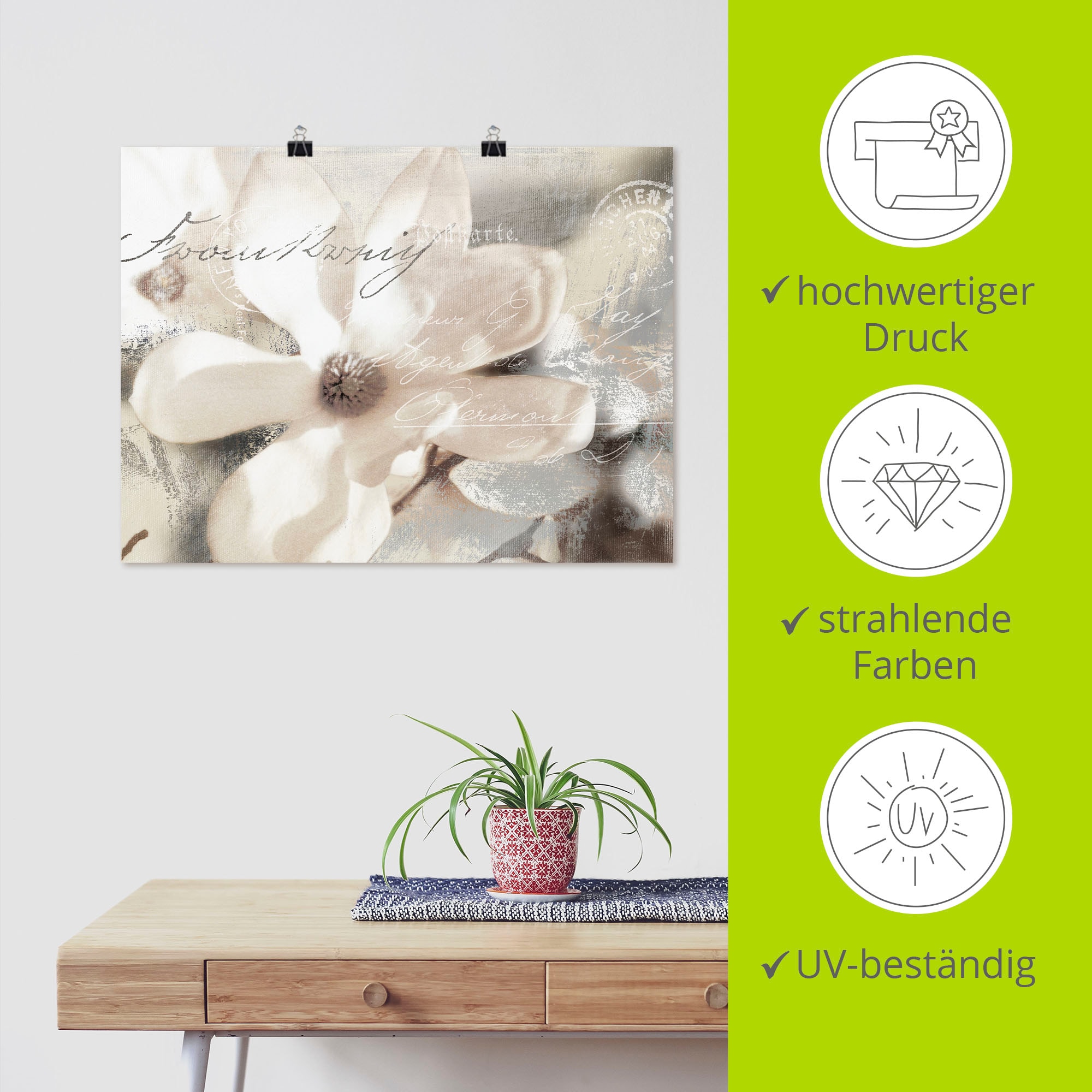 Artland Wandbild »Magnolie_Detail«, Blumenbilder, (1 St.), als Alubild, Outdoorbild, Leinwandbild, Poster, Wandaufkleber